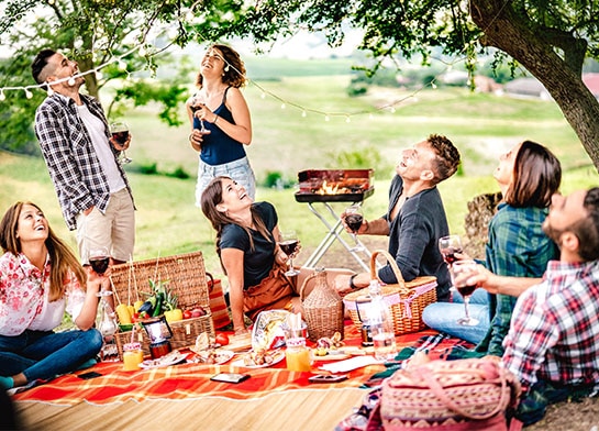 Group of friends enjoying a picnic outside with Sugar-Free Ice Pops