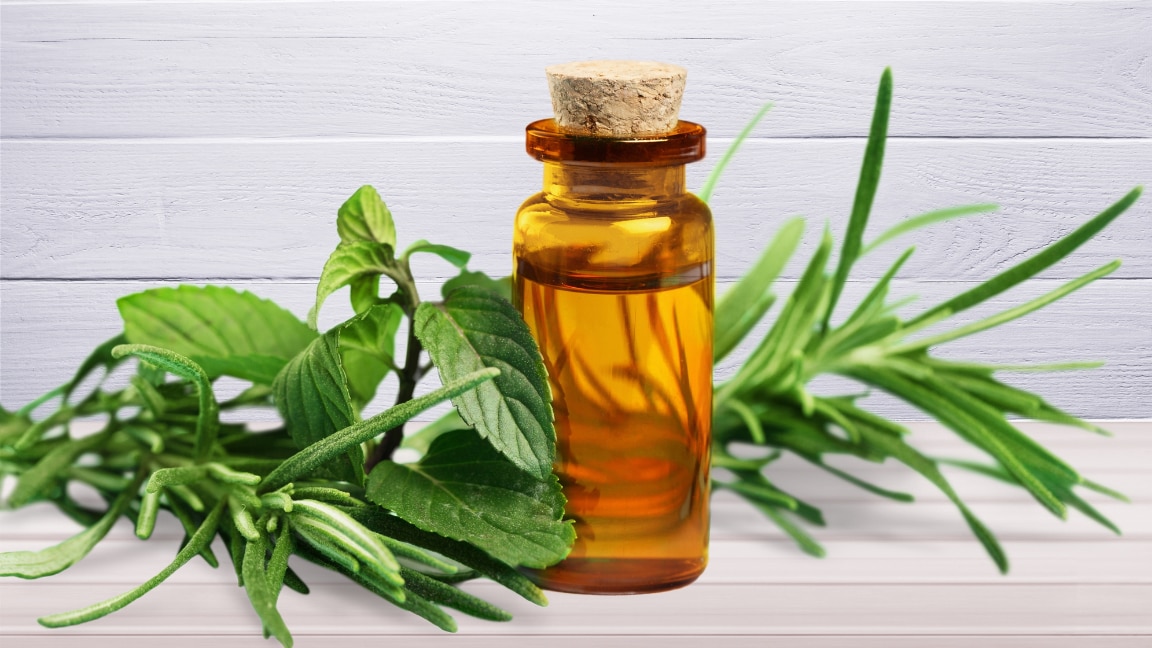 Tea tree oil skincare routine for acne-prone skin