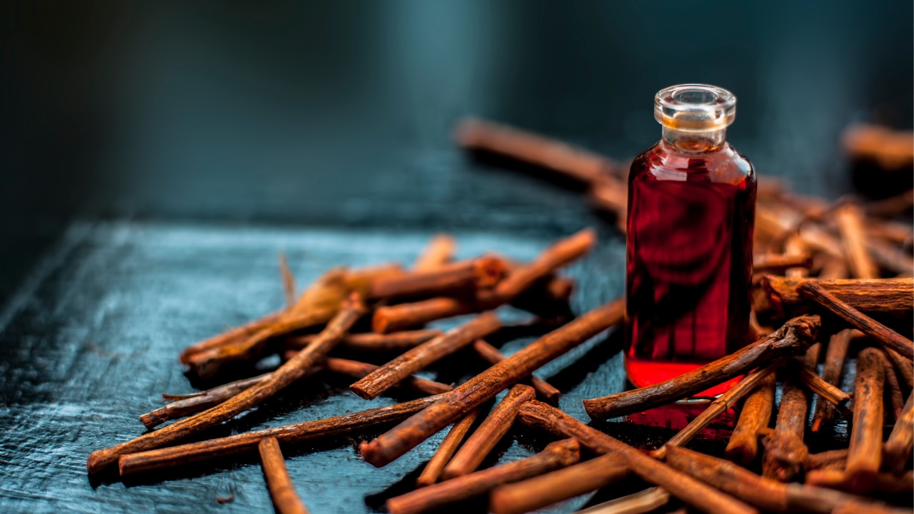 What is Manjishtha? image