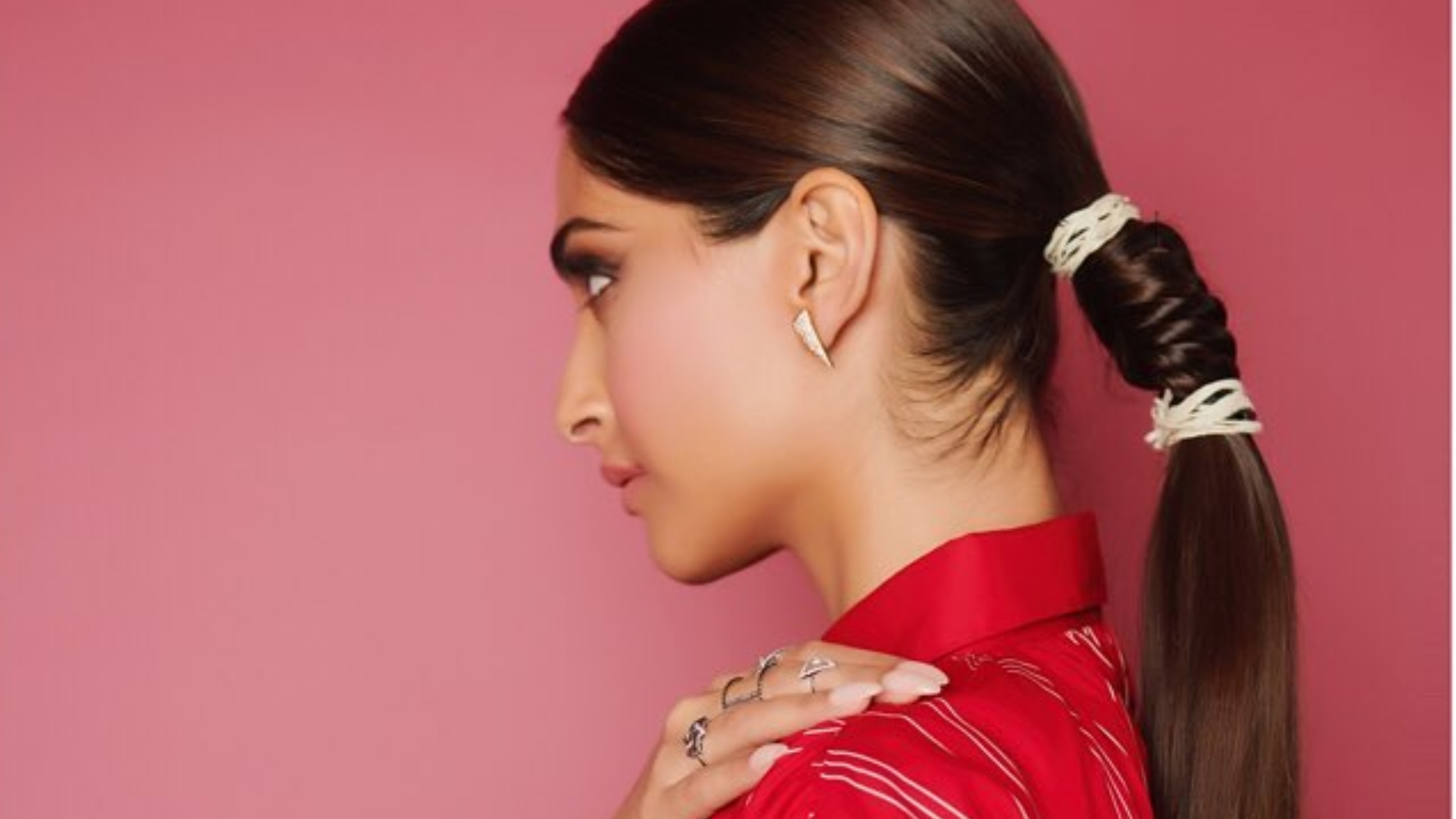 Braided Pony Hairstyle –