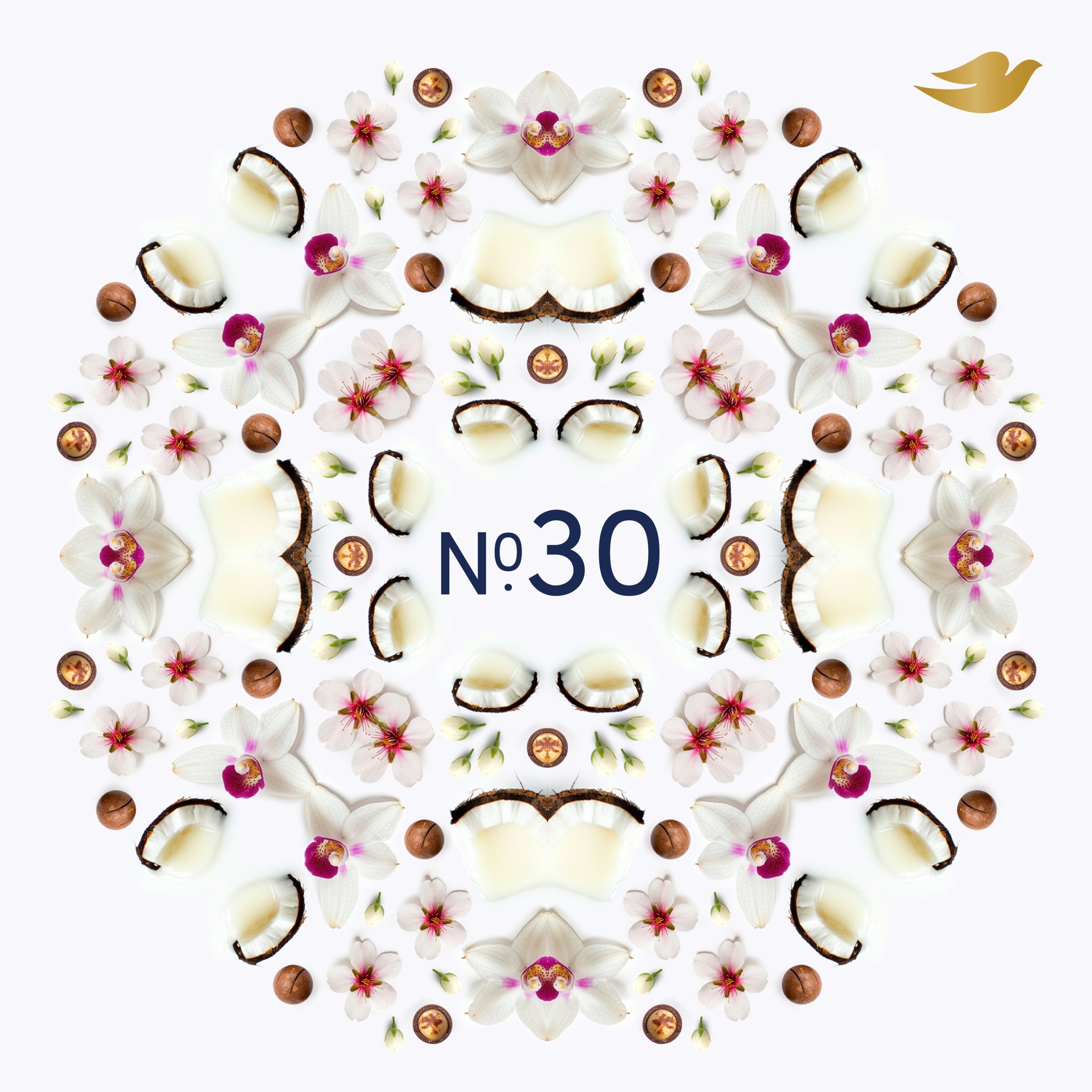 No. 30 Macadamia & Coconut