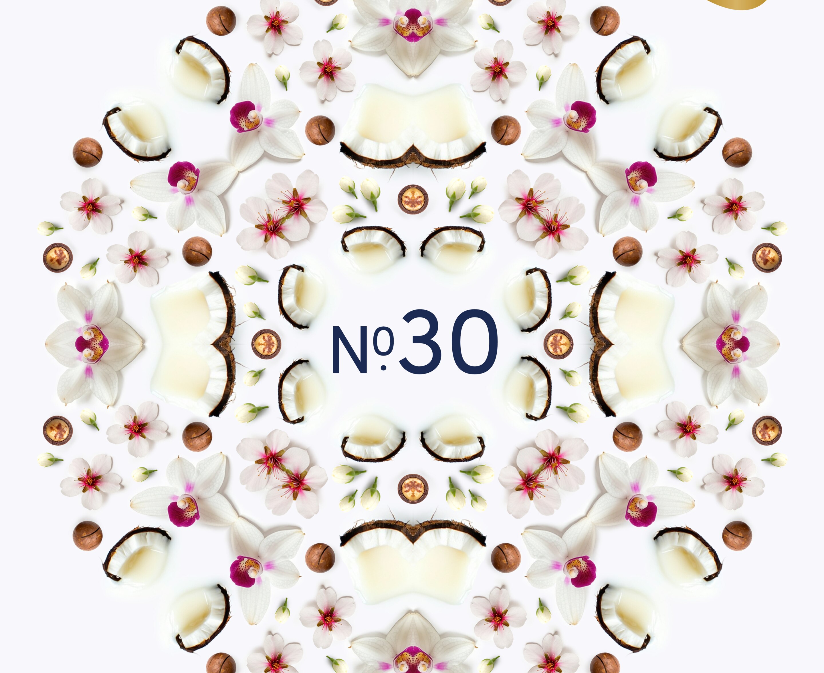 No. 30 Macadamia & Coconut