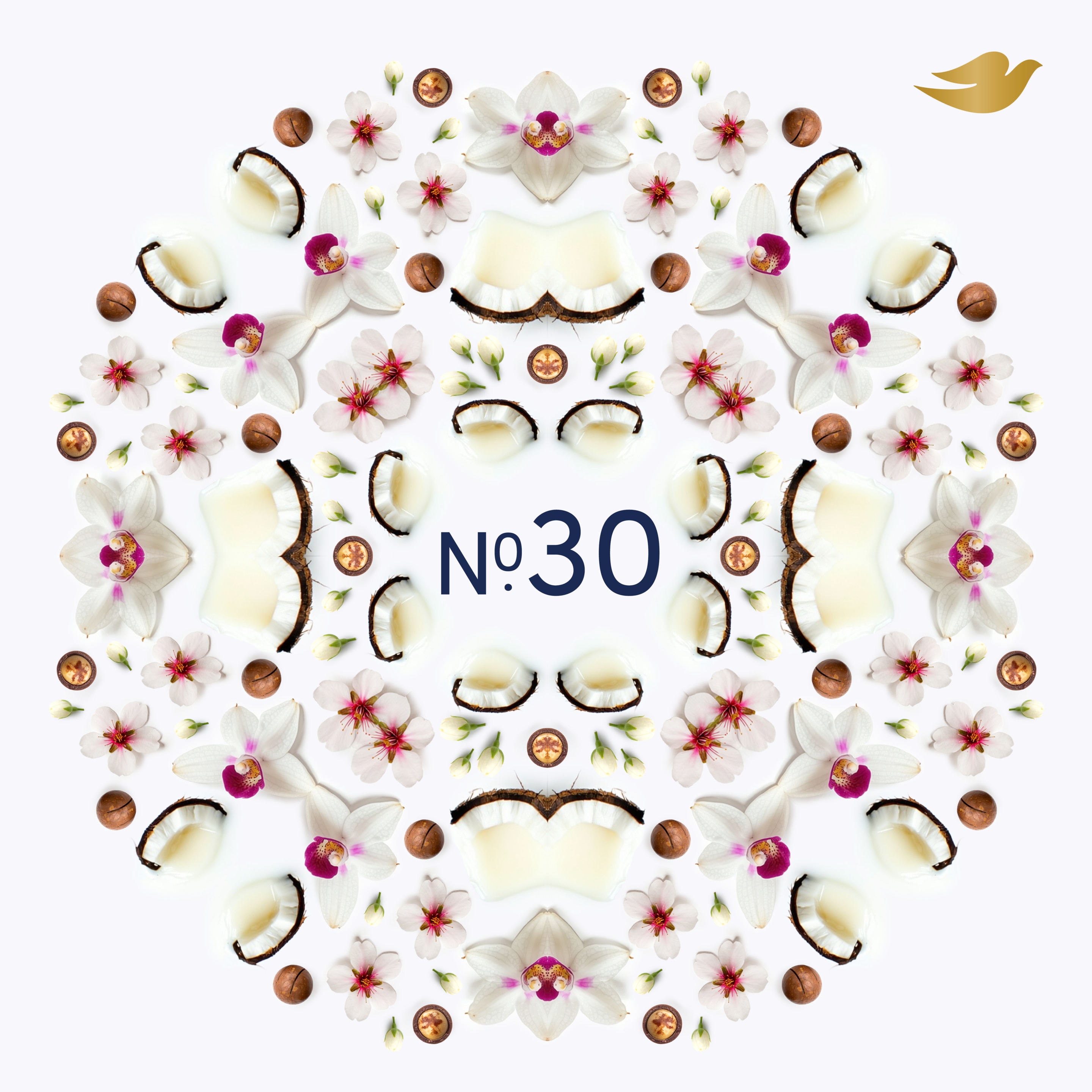 Dove Macadamia & Coconut Antiperspirant Refill Pack 35 ml