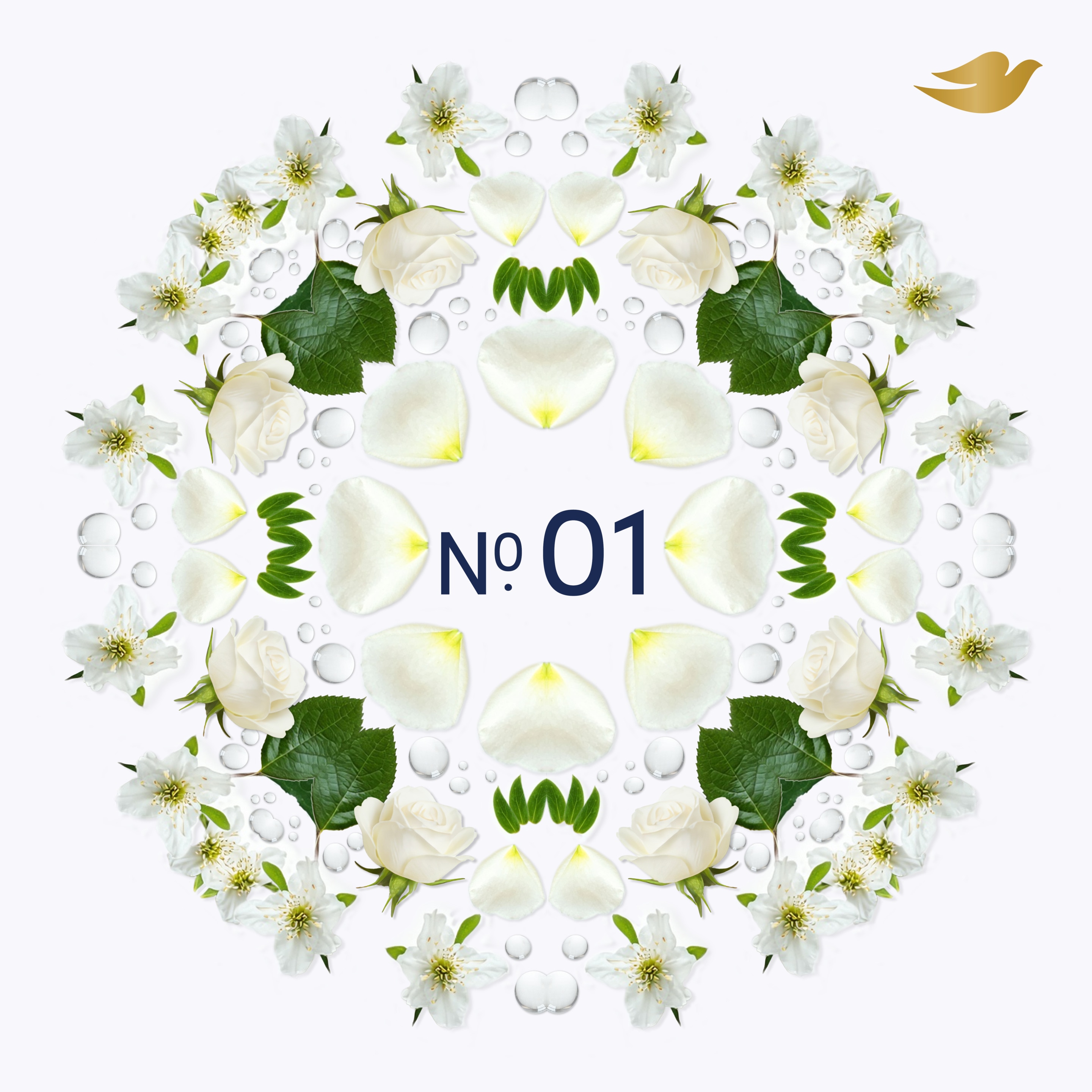 No. 01 Original Graphic