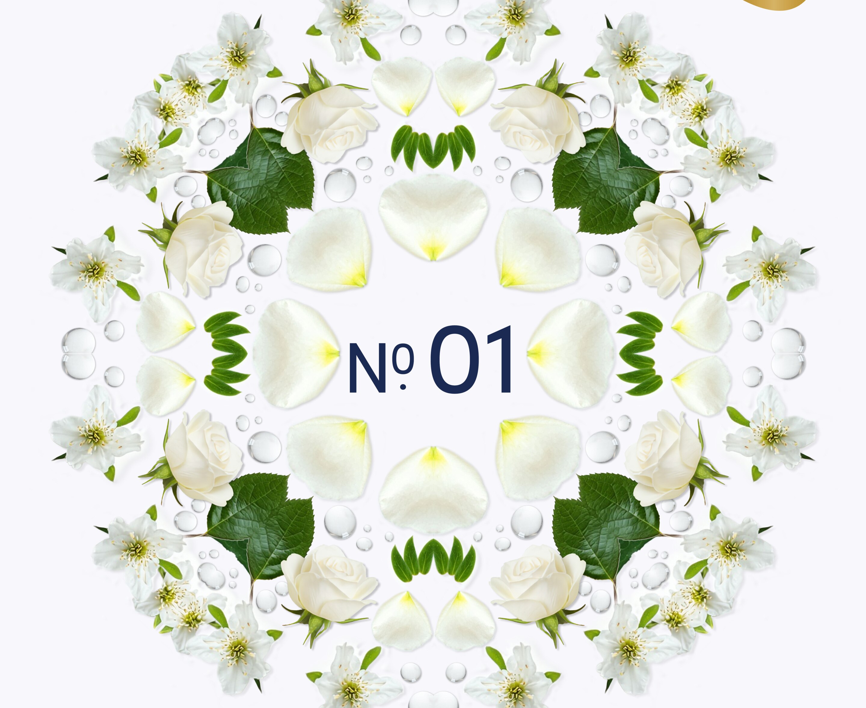 No. 01 Original Graphic