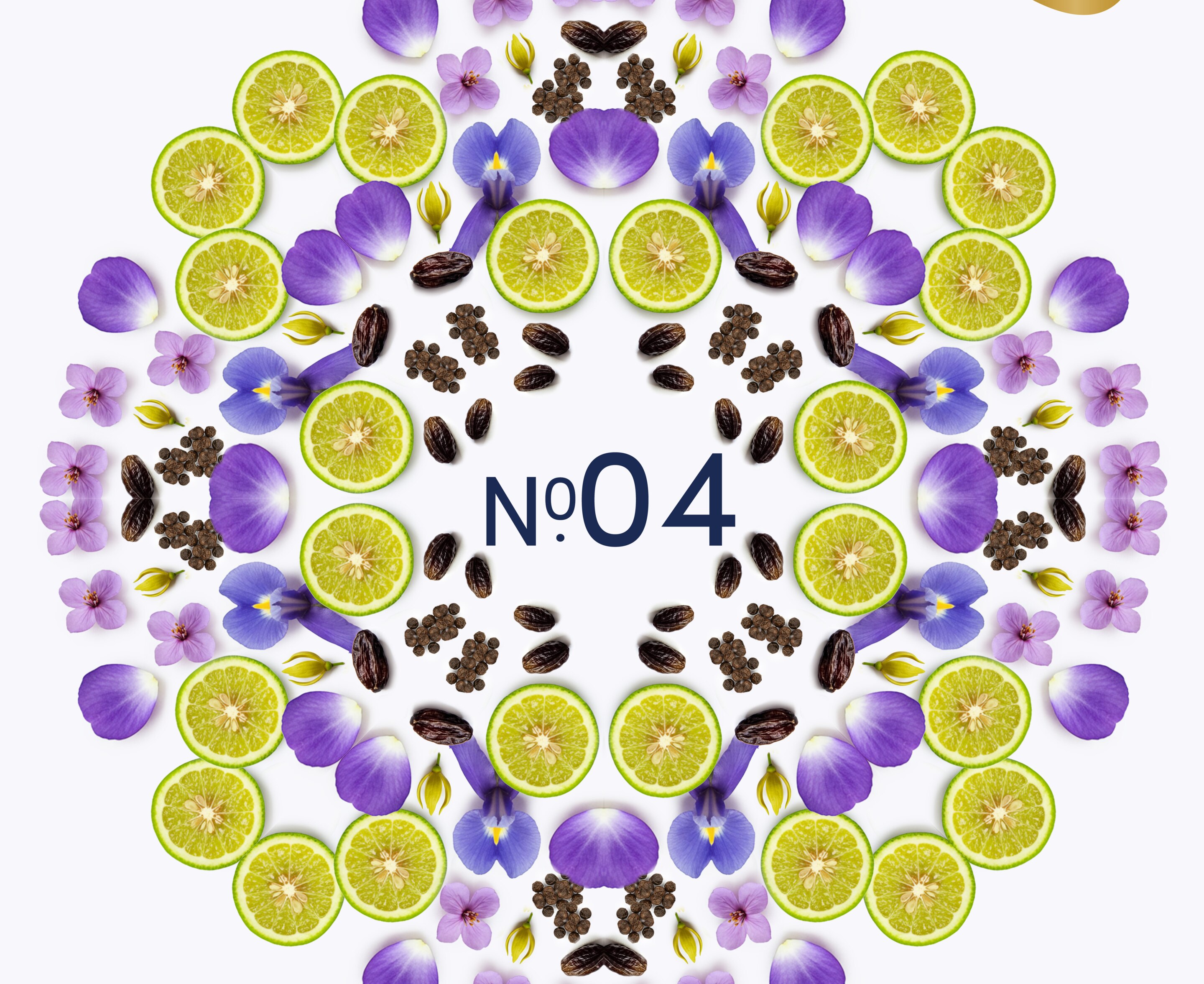 No. 04 Violet & Tonka Bean