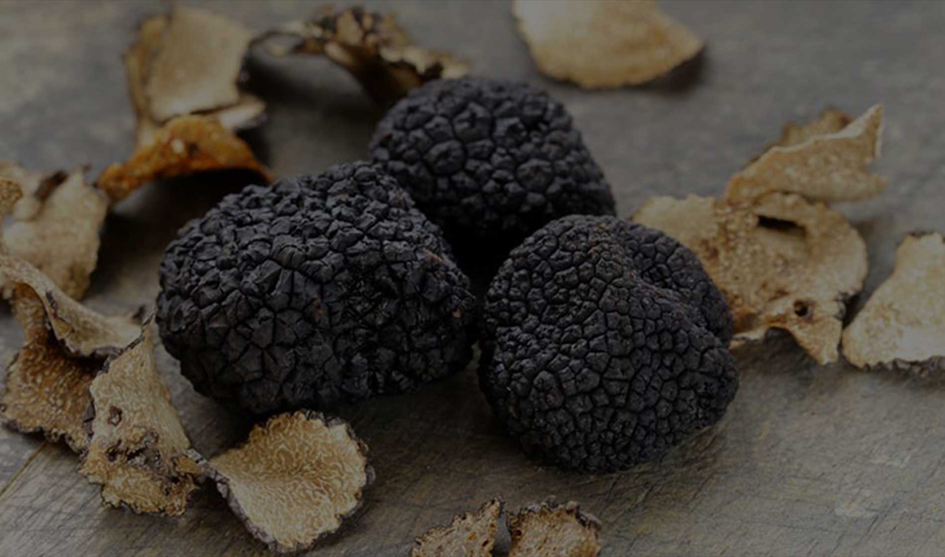 Have you planned your Holiday Menu?