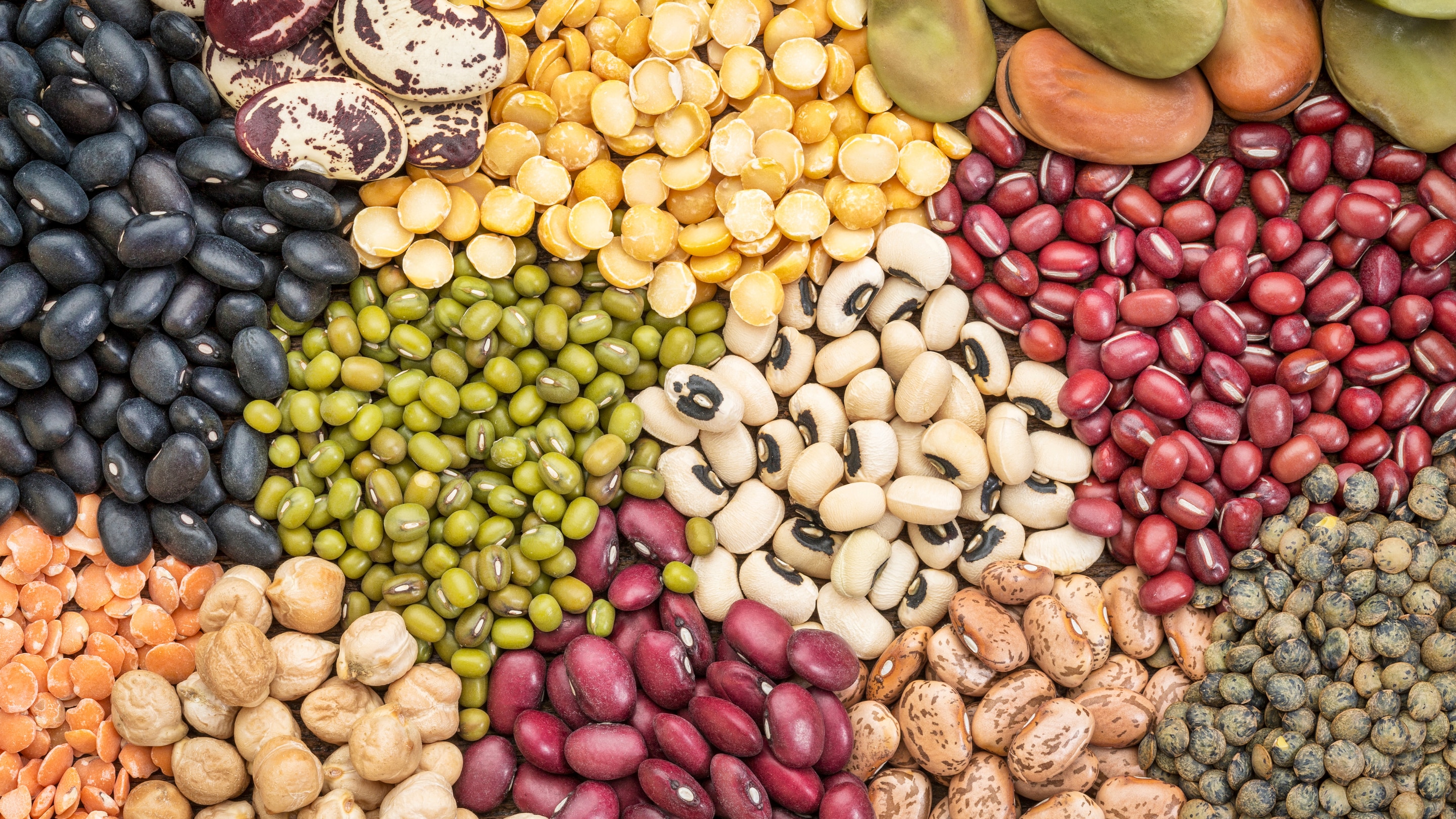 Beans and Pulses (Lentils, Chickpeas):
