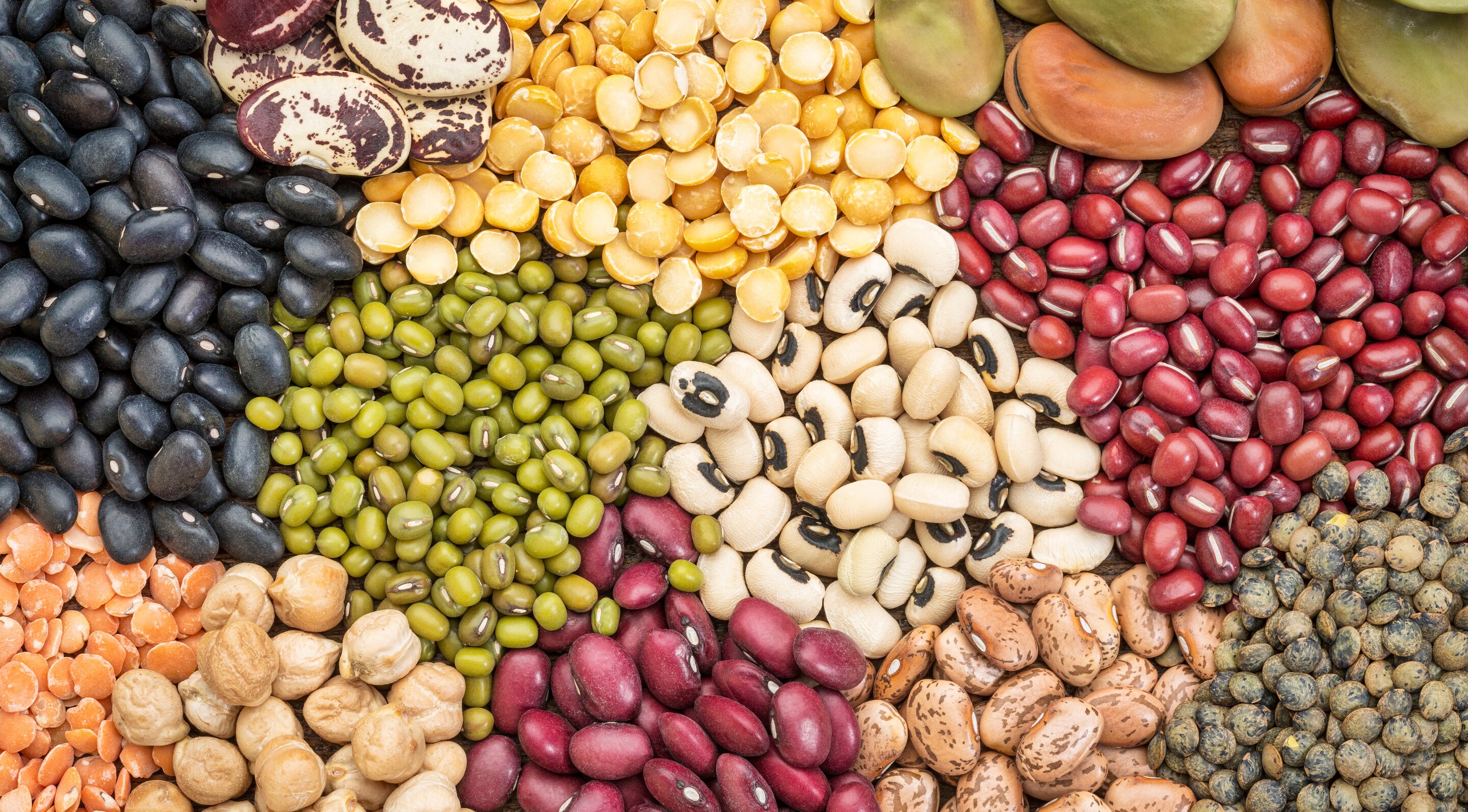 Beans and Pulses (Lentils, Chickpeas):