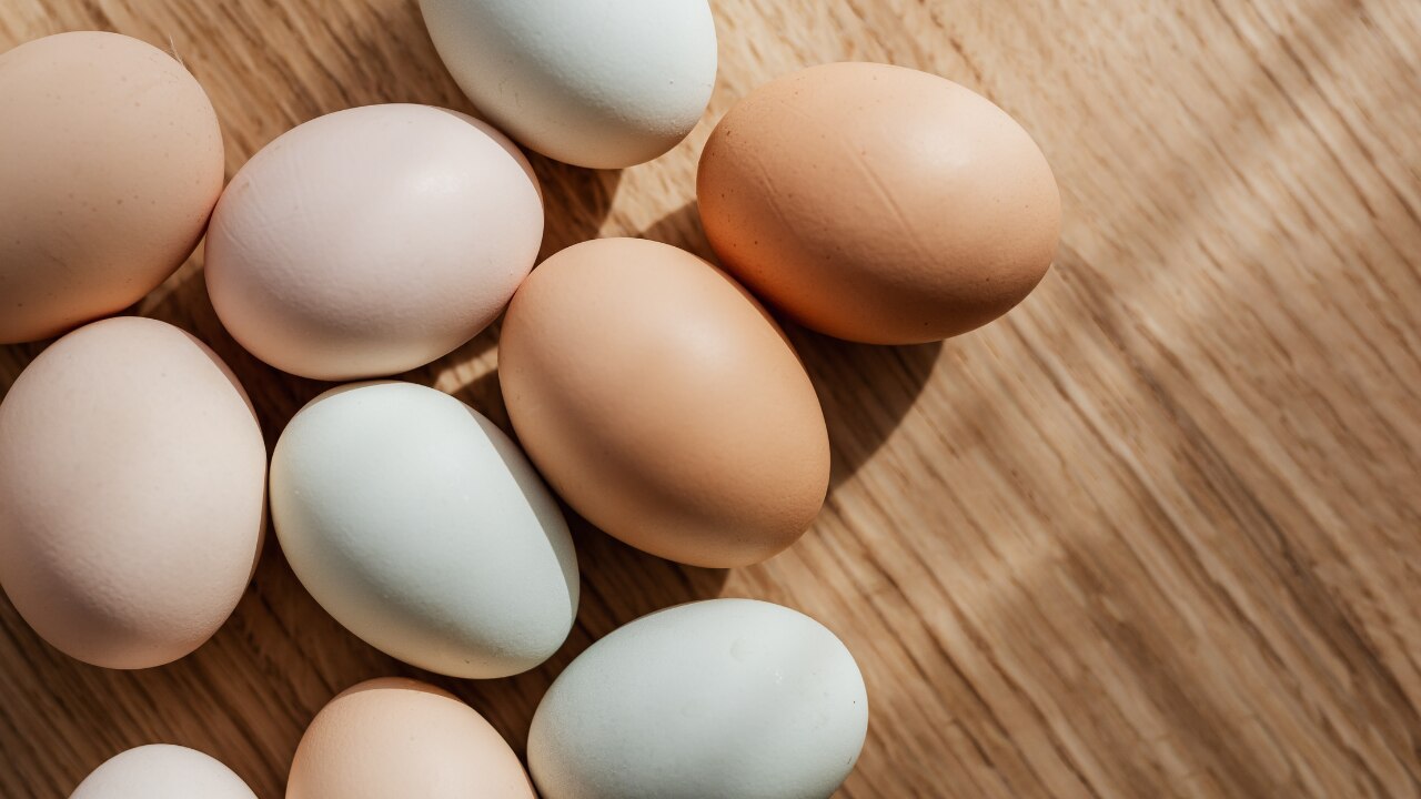 Eggs: