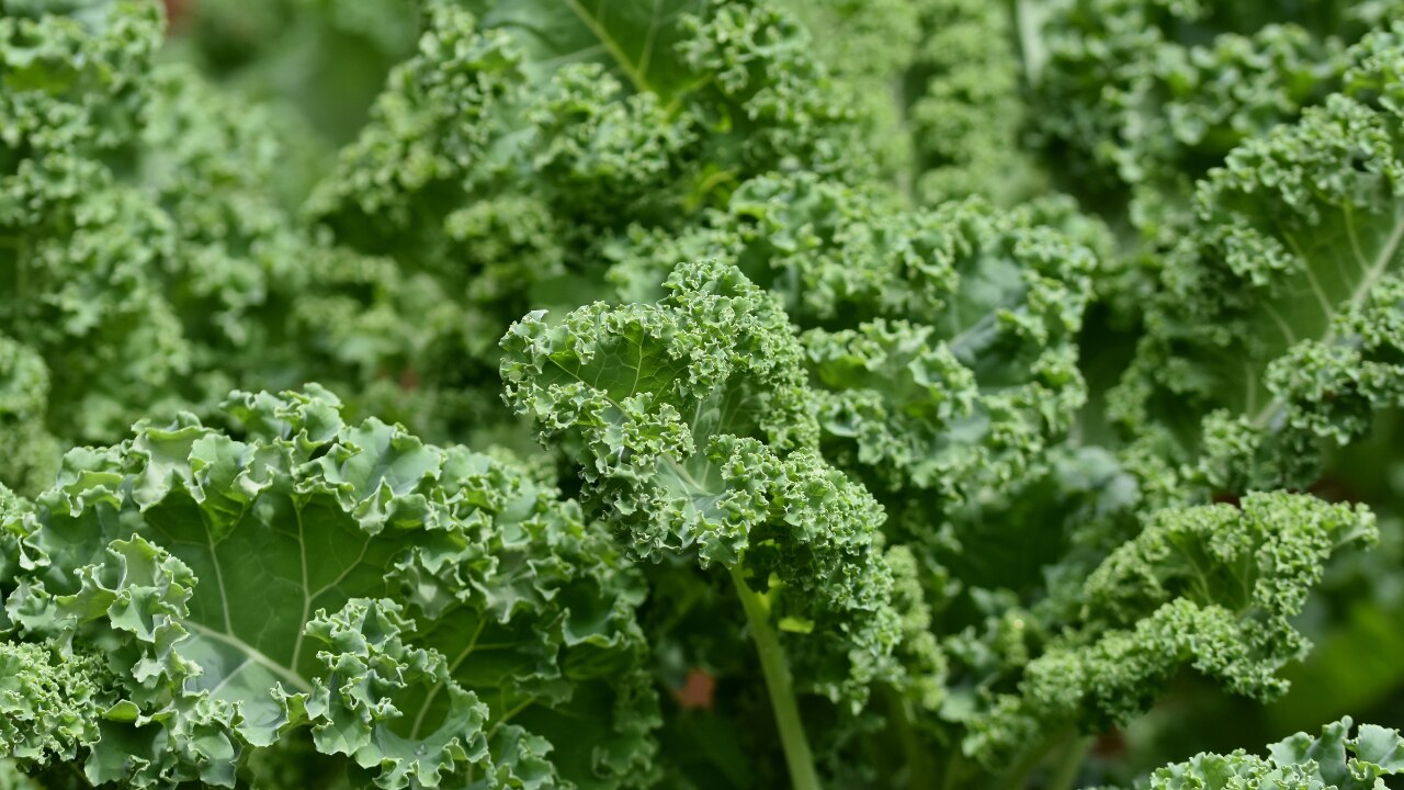 Spinach and Kale:
