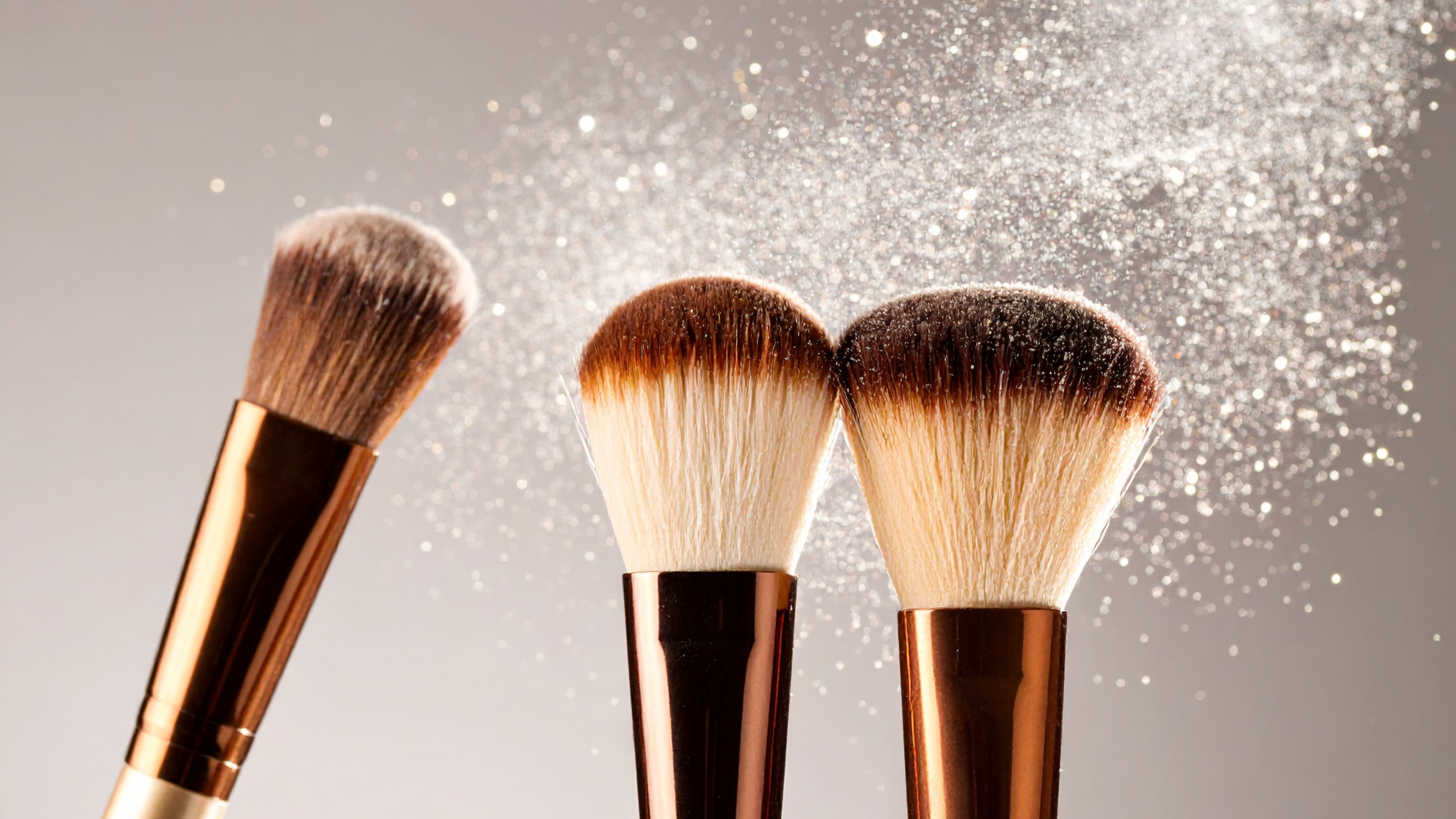 1. Face Brushes