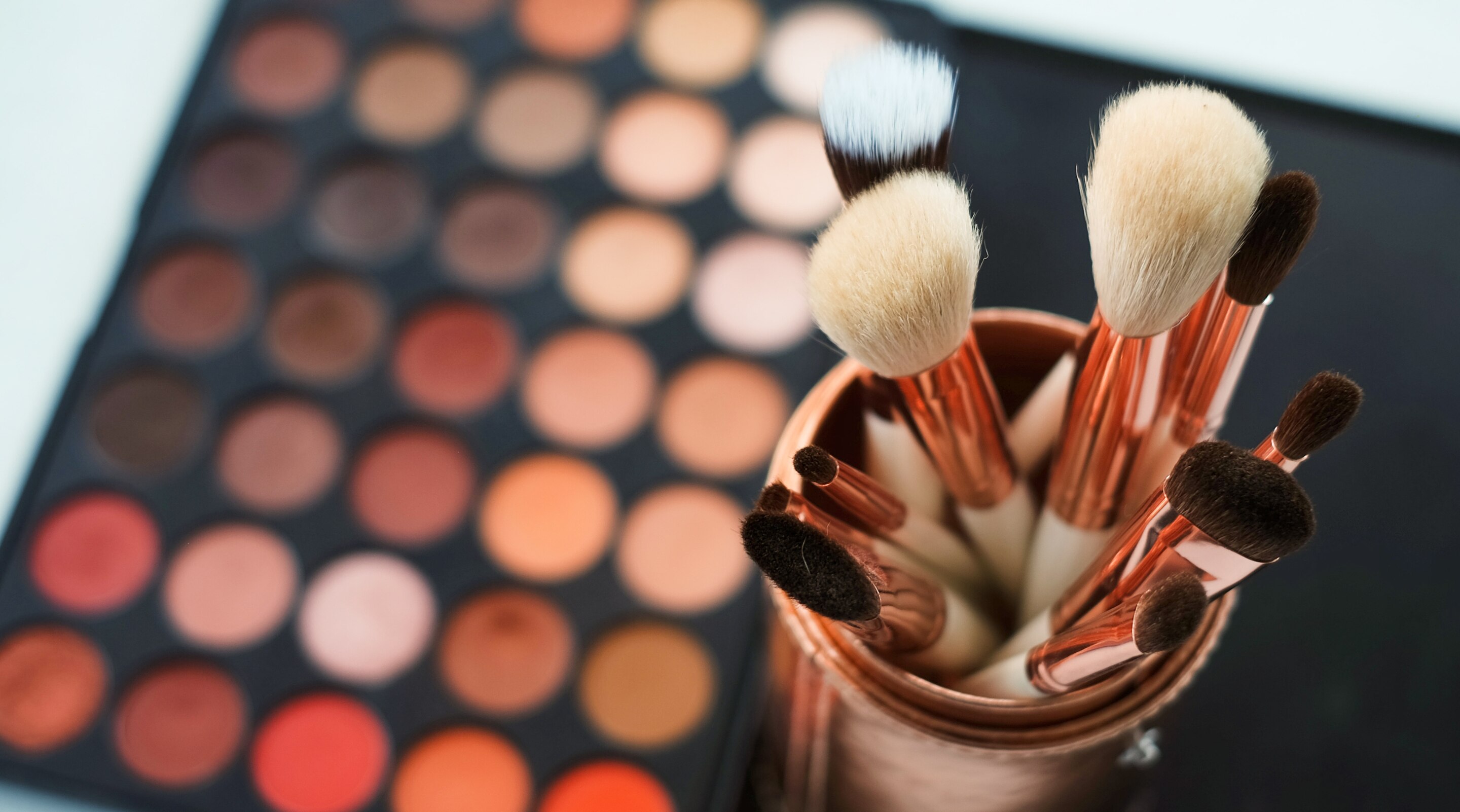 Different Makeup Brushes and How to Use Them