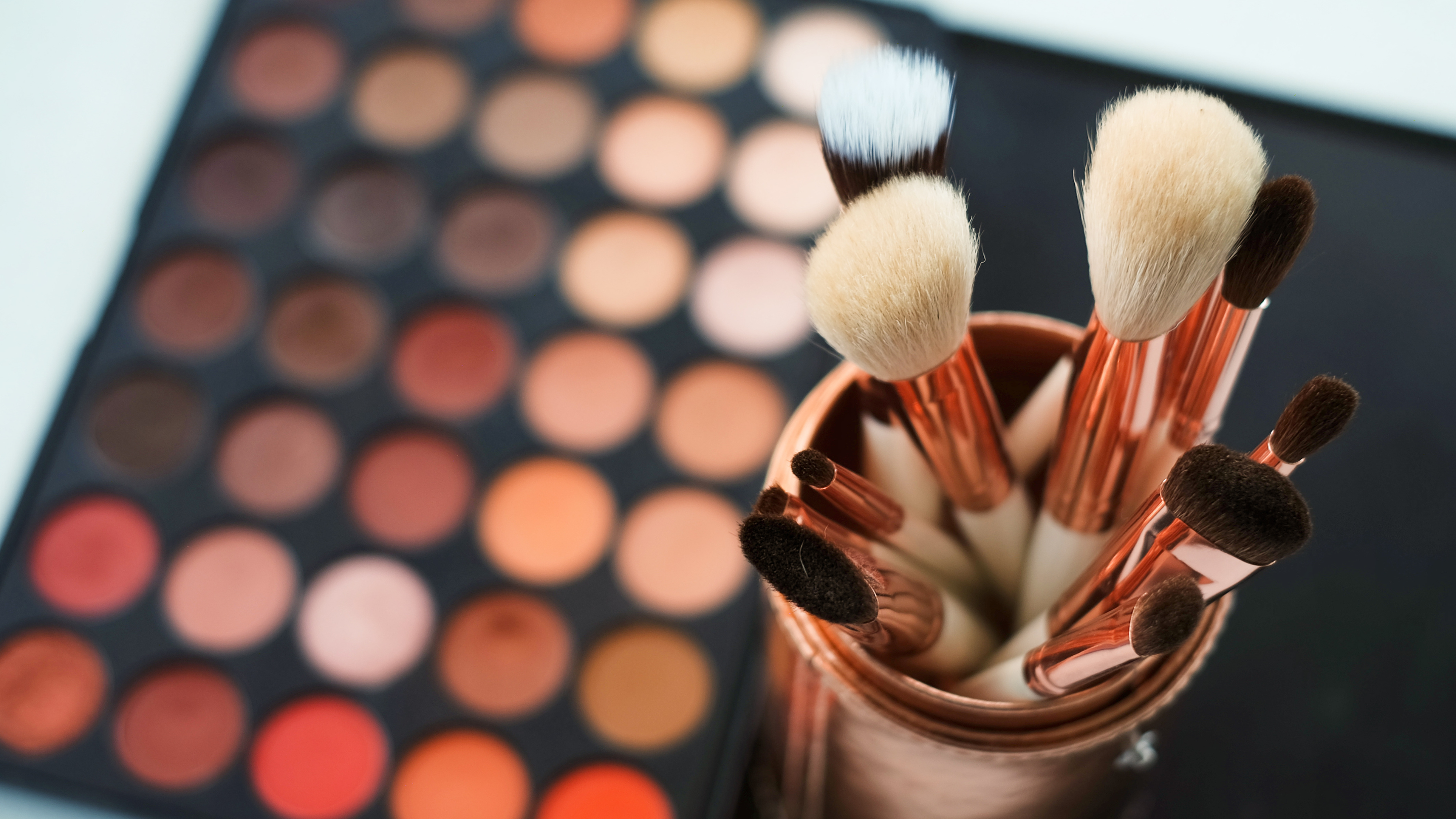 Different Makeup Brushes and How to Use Them