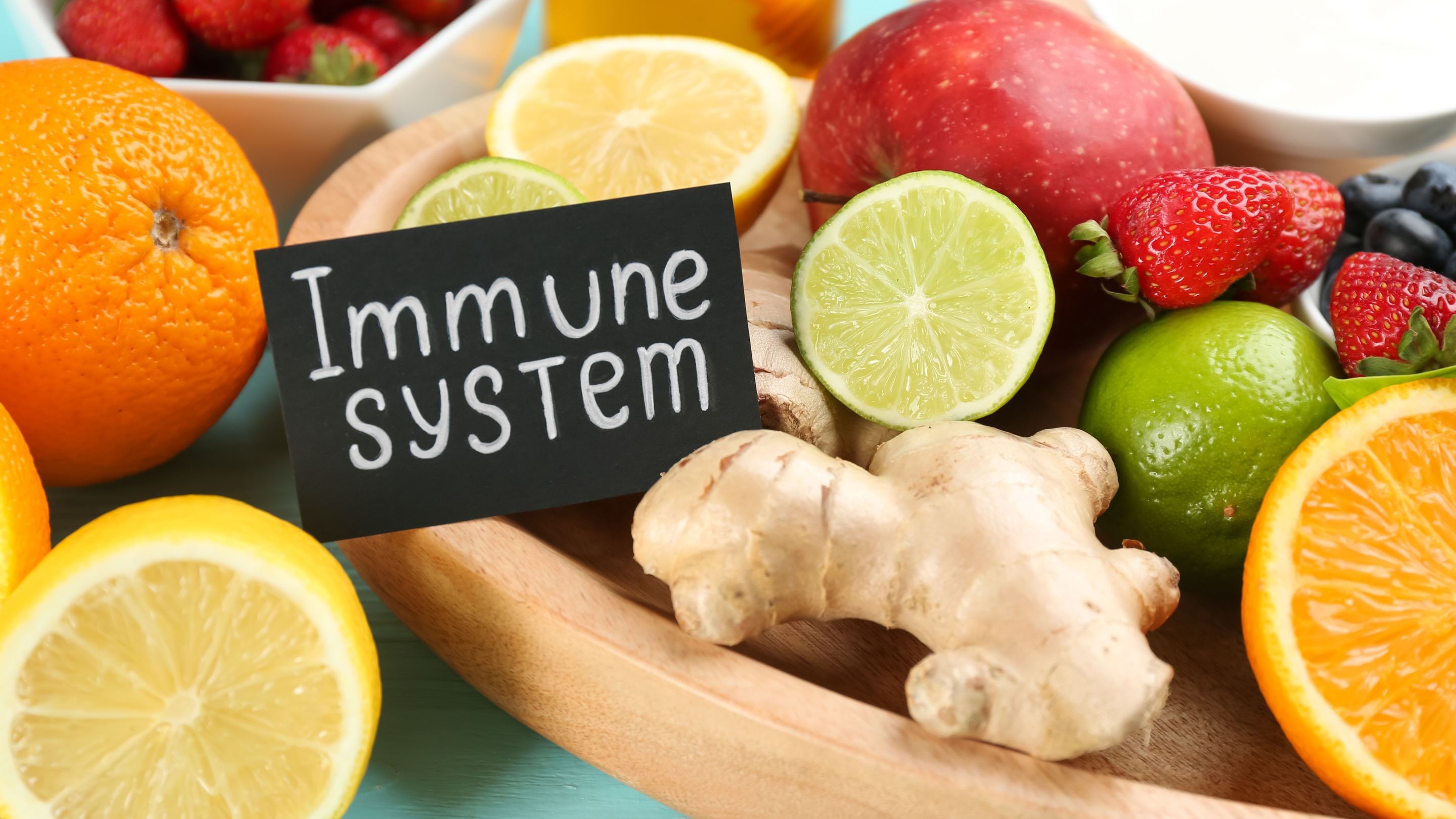 What is the Immune System?