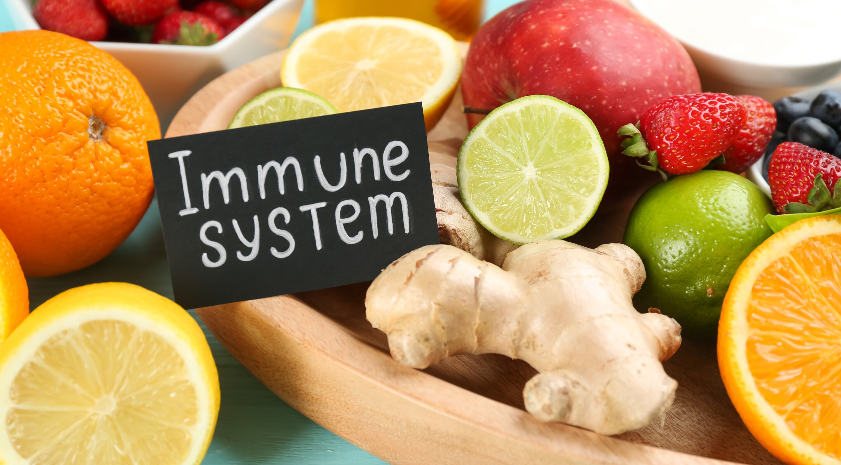 What is the Immune System?