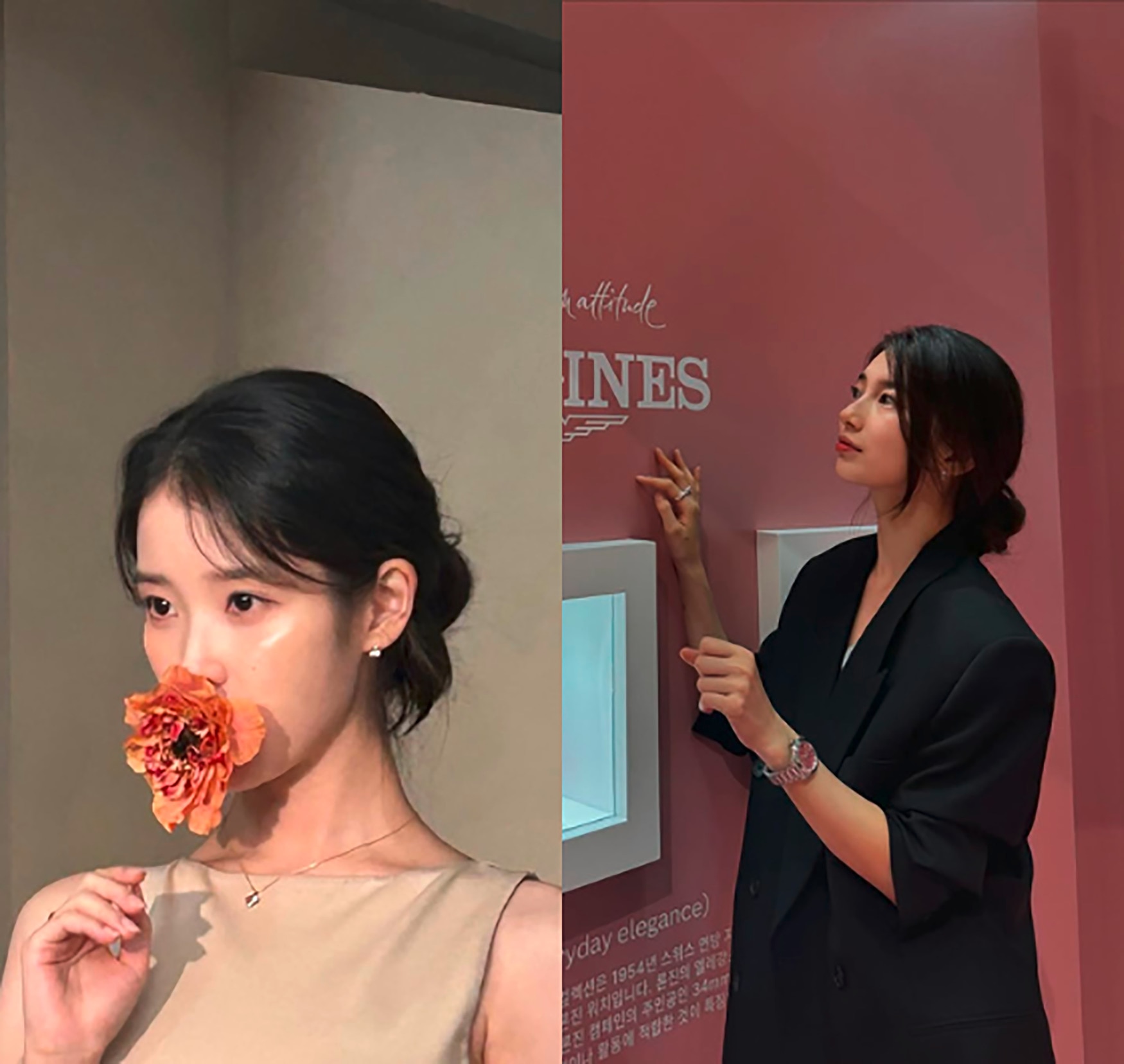 Korean leading ladies IU and Bae Suzy wear their hair in a low bun.