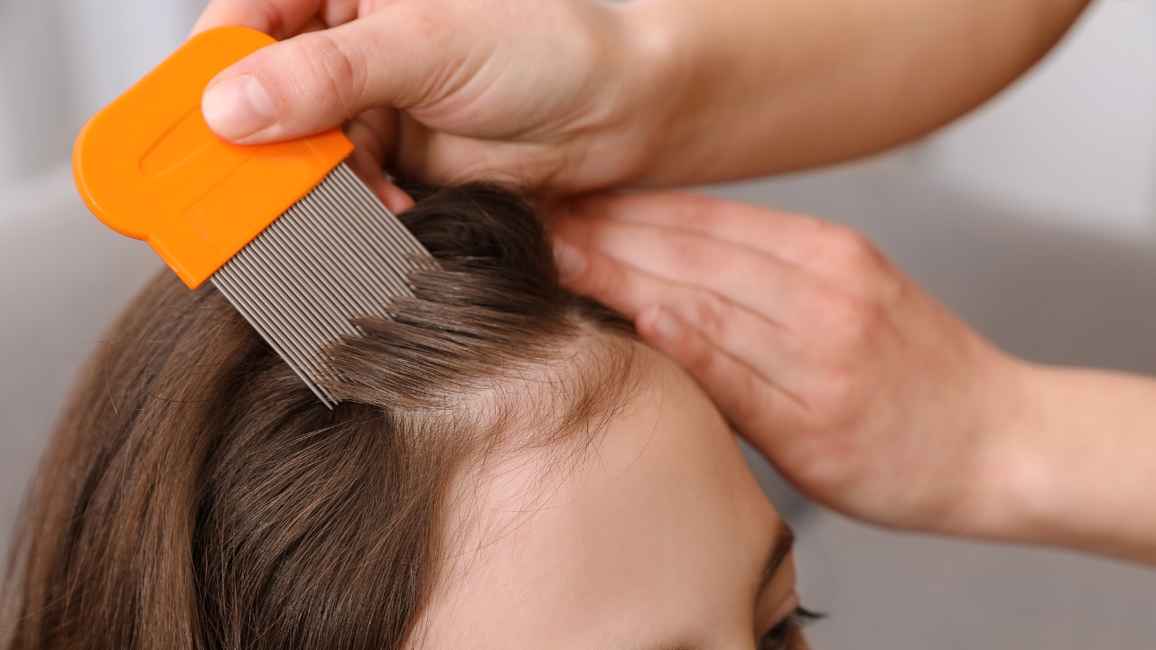 The Gold Standard: The Comb Method (Wet Combing with Conditioner)