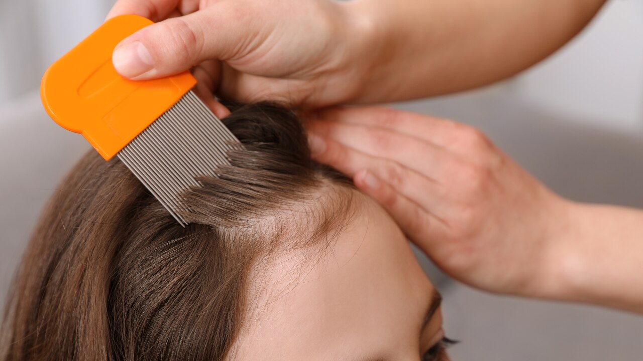 The Gold Standard: The Comb Method (Wet Combing with Conditioner)