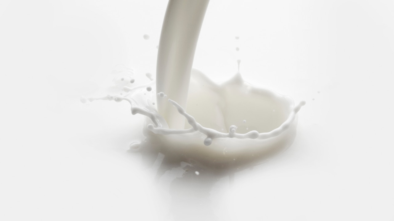 Fortified Milk and Dairy Alternatives: