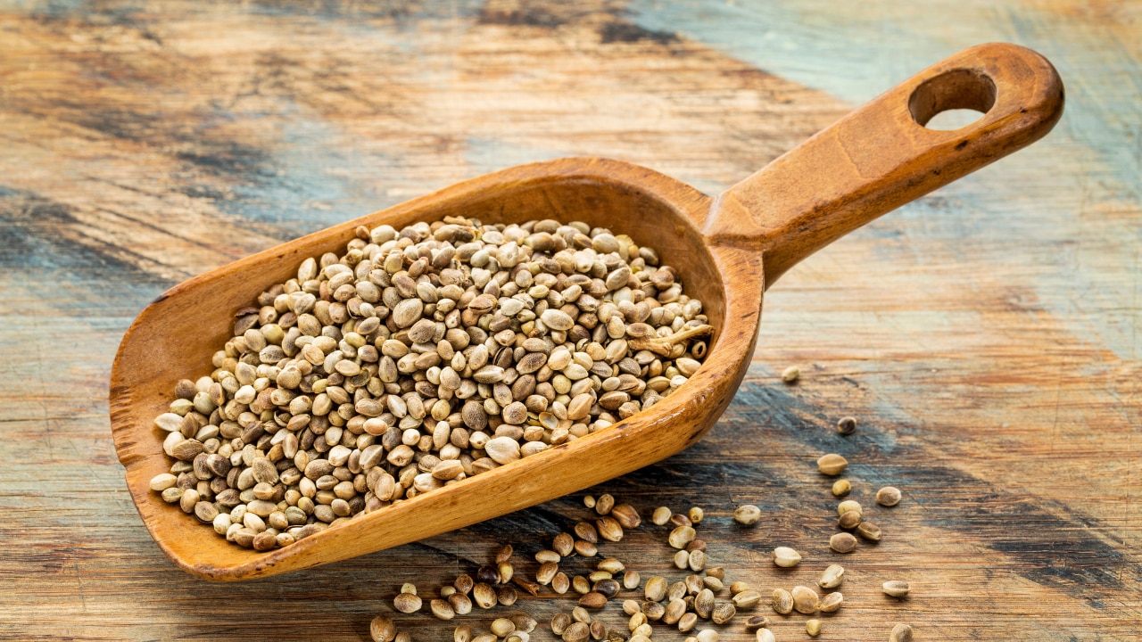 Hemp Seeds: