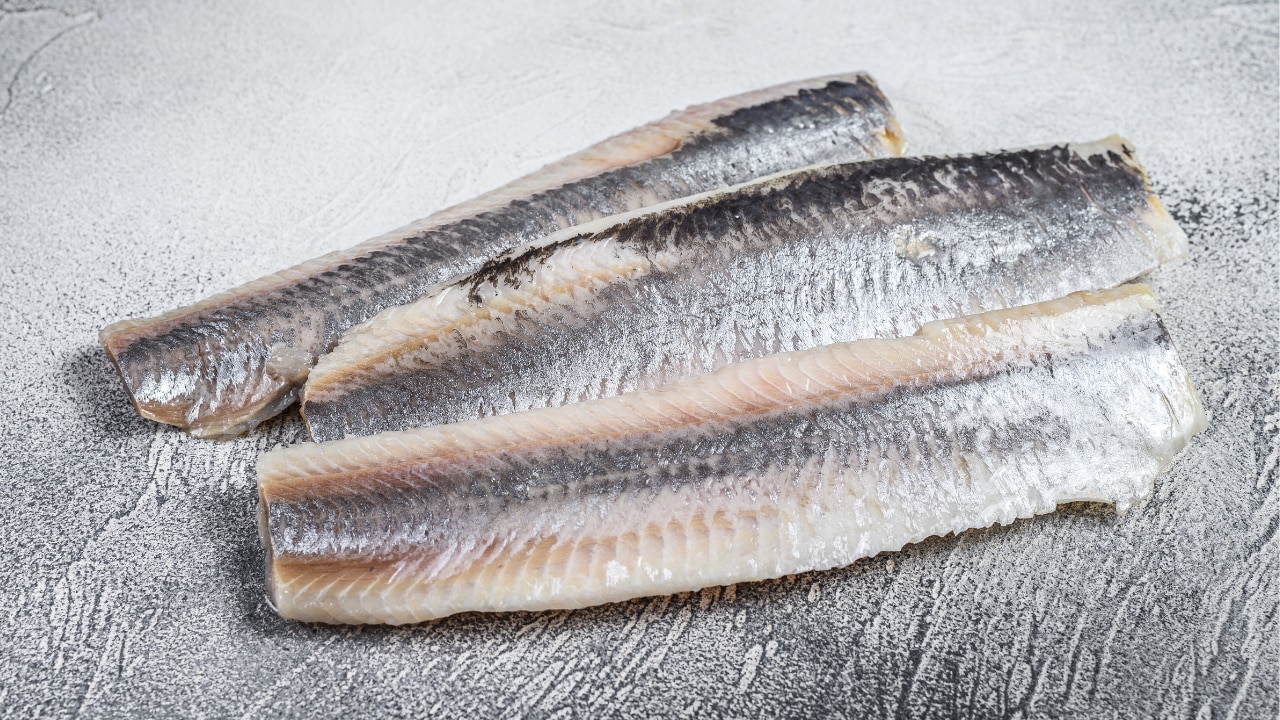 Herring: