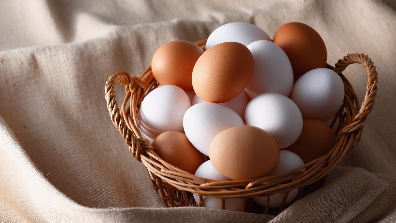 Omega-3 Enriched Eggs: