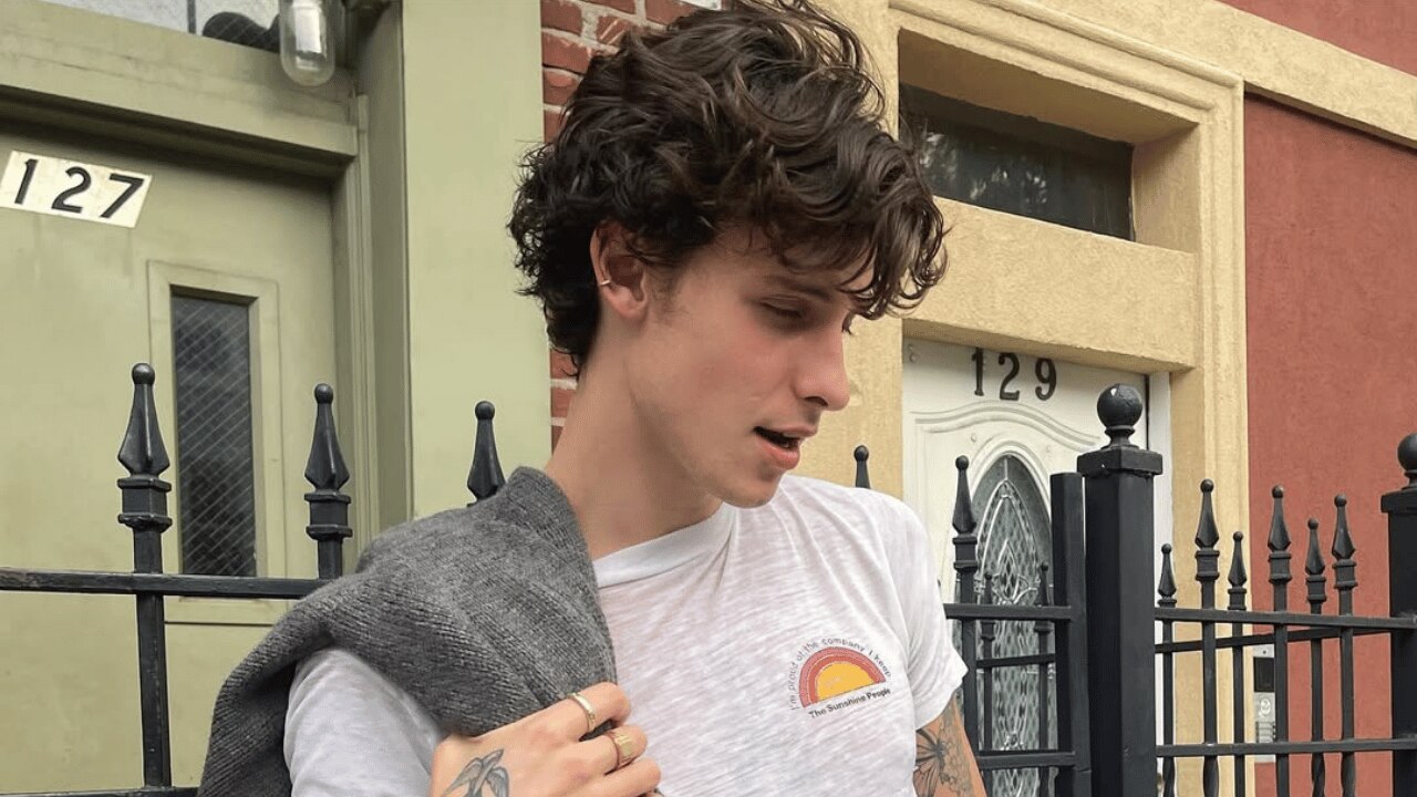The Curly Wolf Cut: