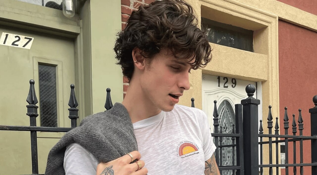 The Curly Wolf Cut: