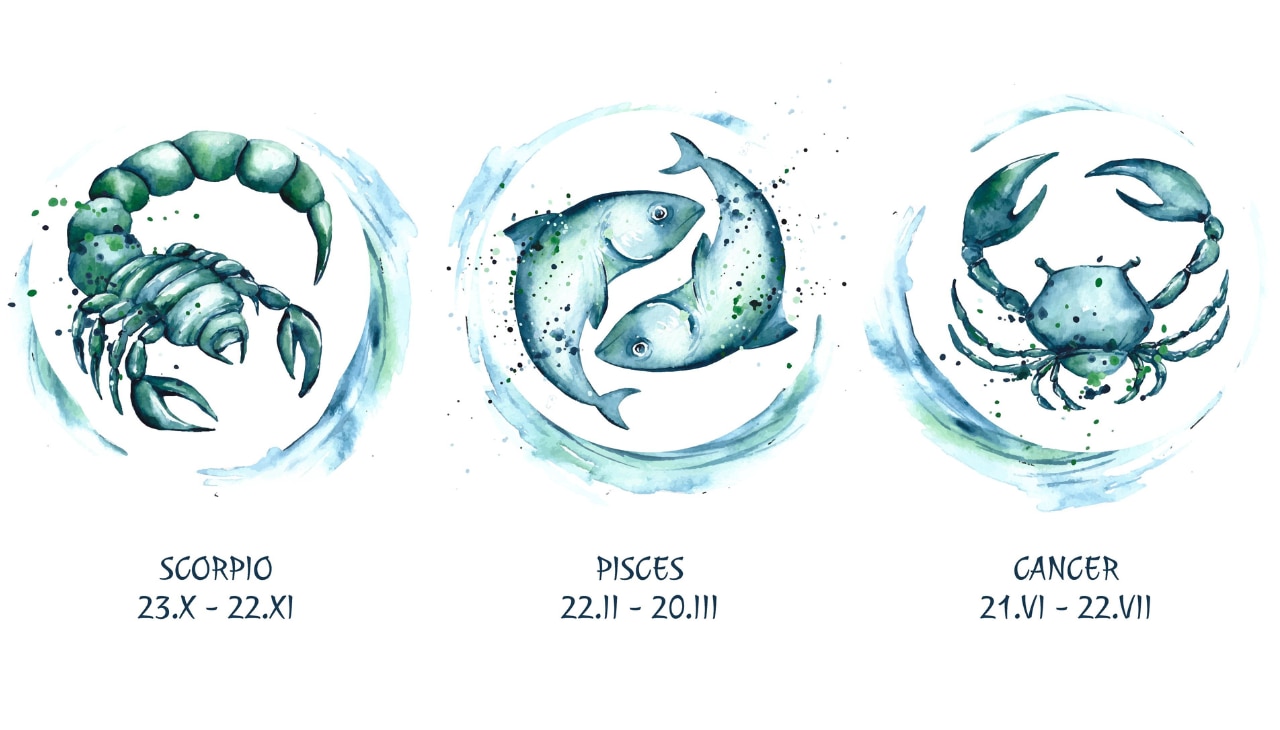 What Are the Water Signs in the Zodiac?