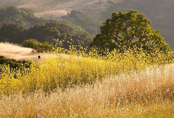 La Maison Maille Sustainability