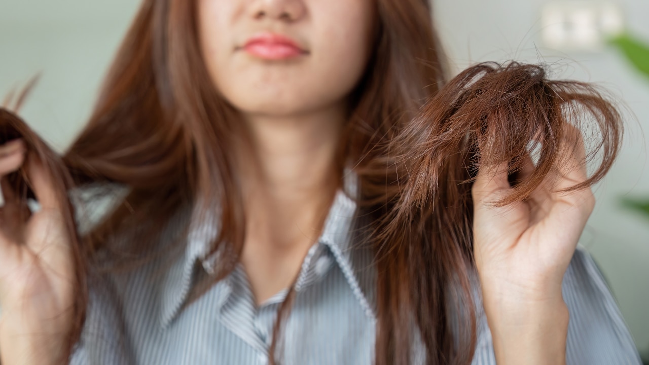 4. Maintenance Preference