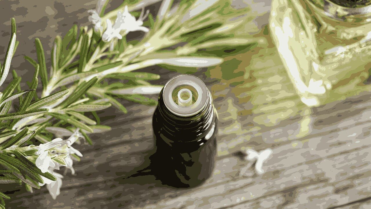 DIY Rosemary Oil Treatments for Hair &amp; Scalp