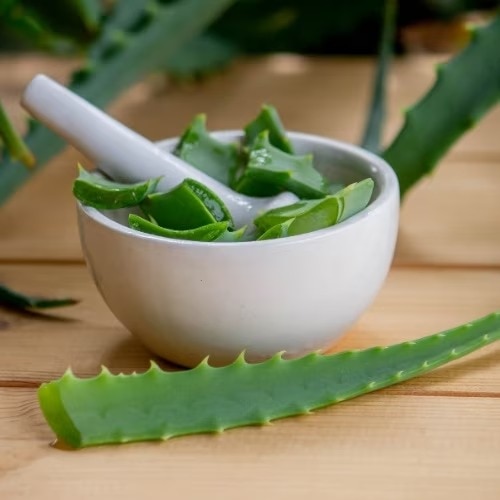 Aloe-vera