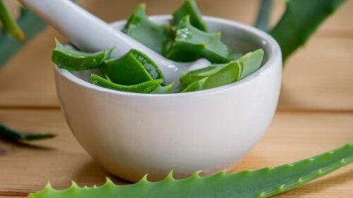 Aloe-vera