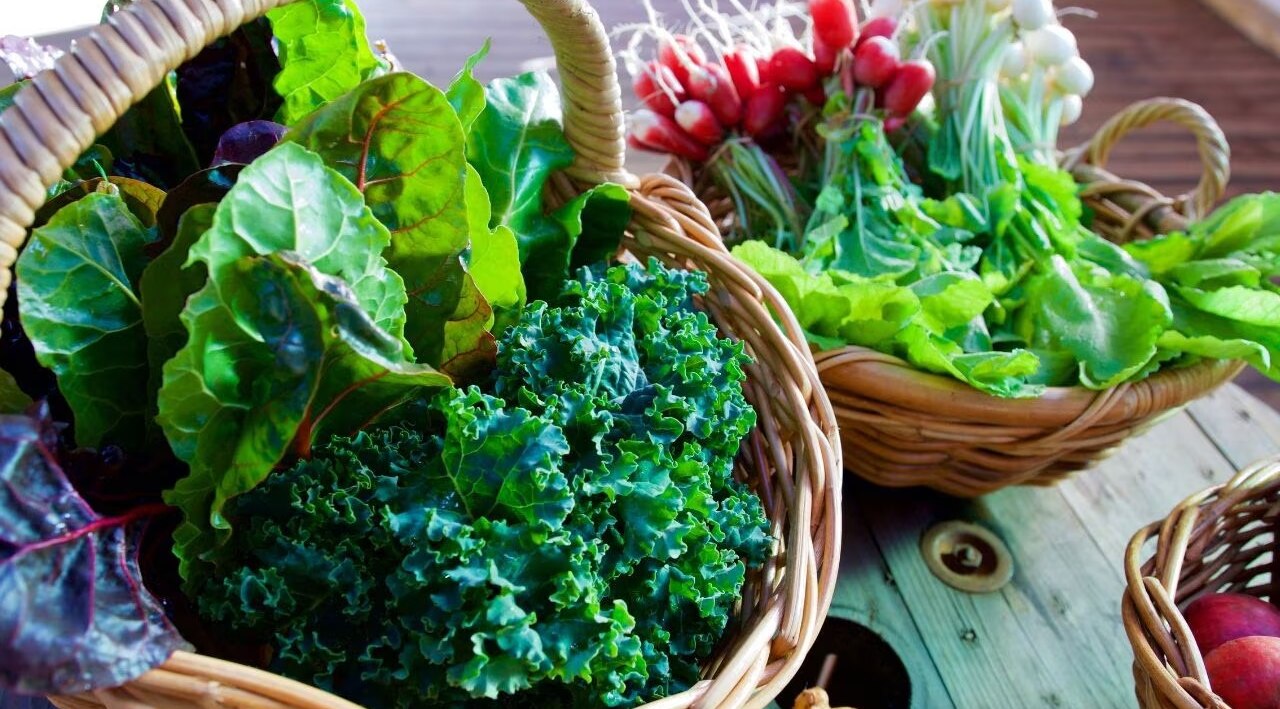 Leafy vegetables