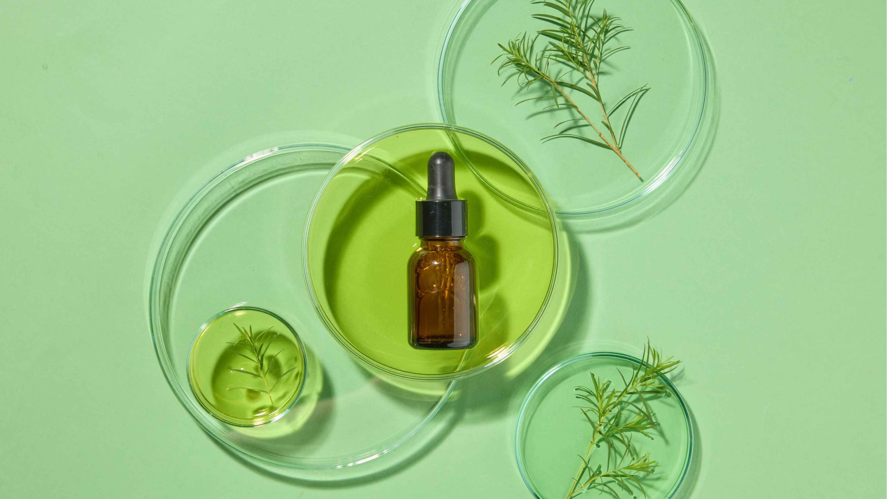 Green Tea & Glycerin Serum for Combination Skin