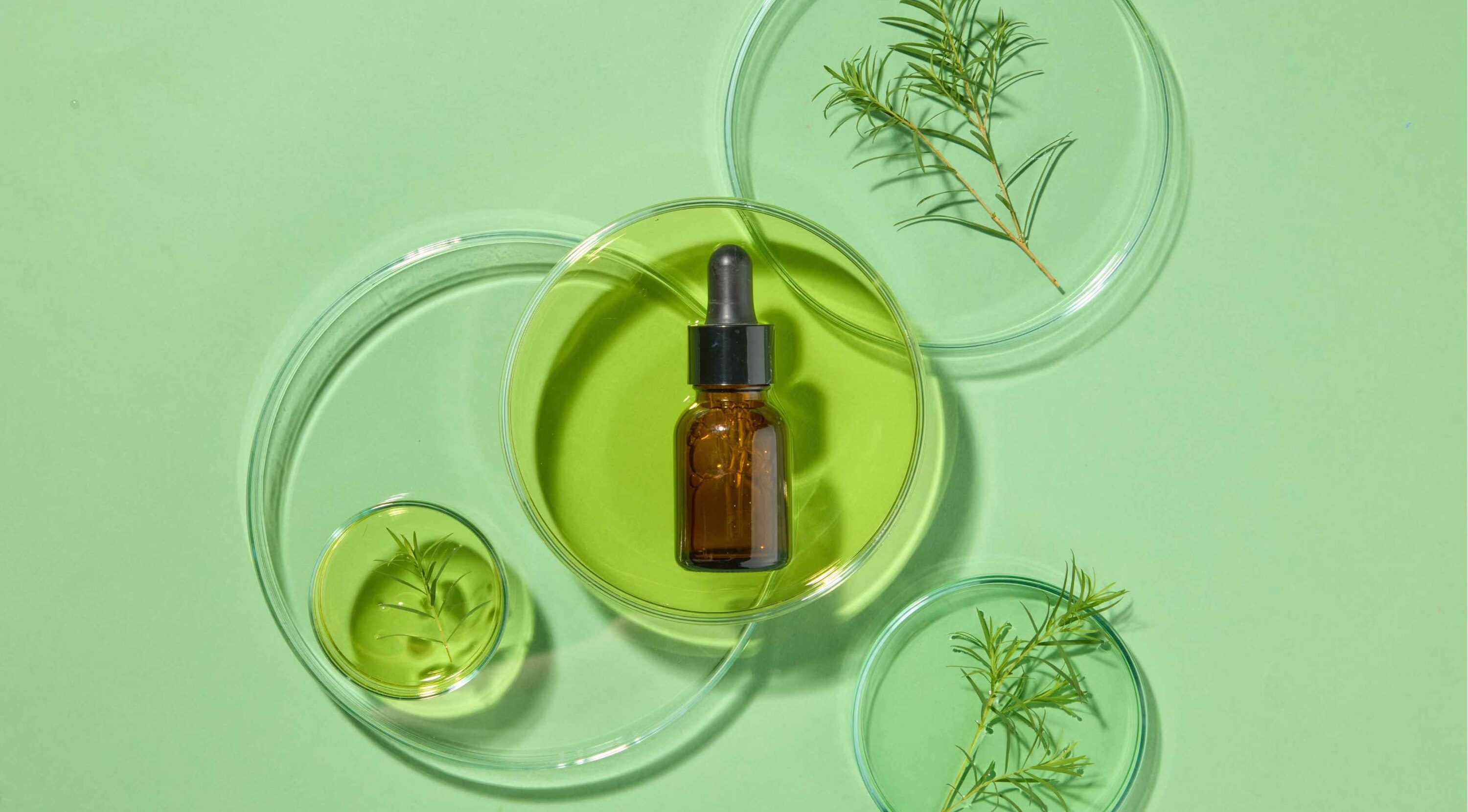 Green Tea &amp; Glycerin Serum for Combination Skin
