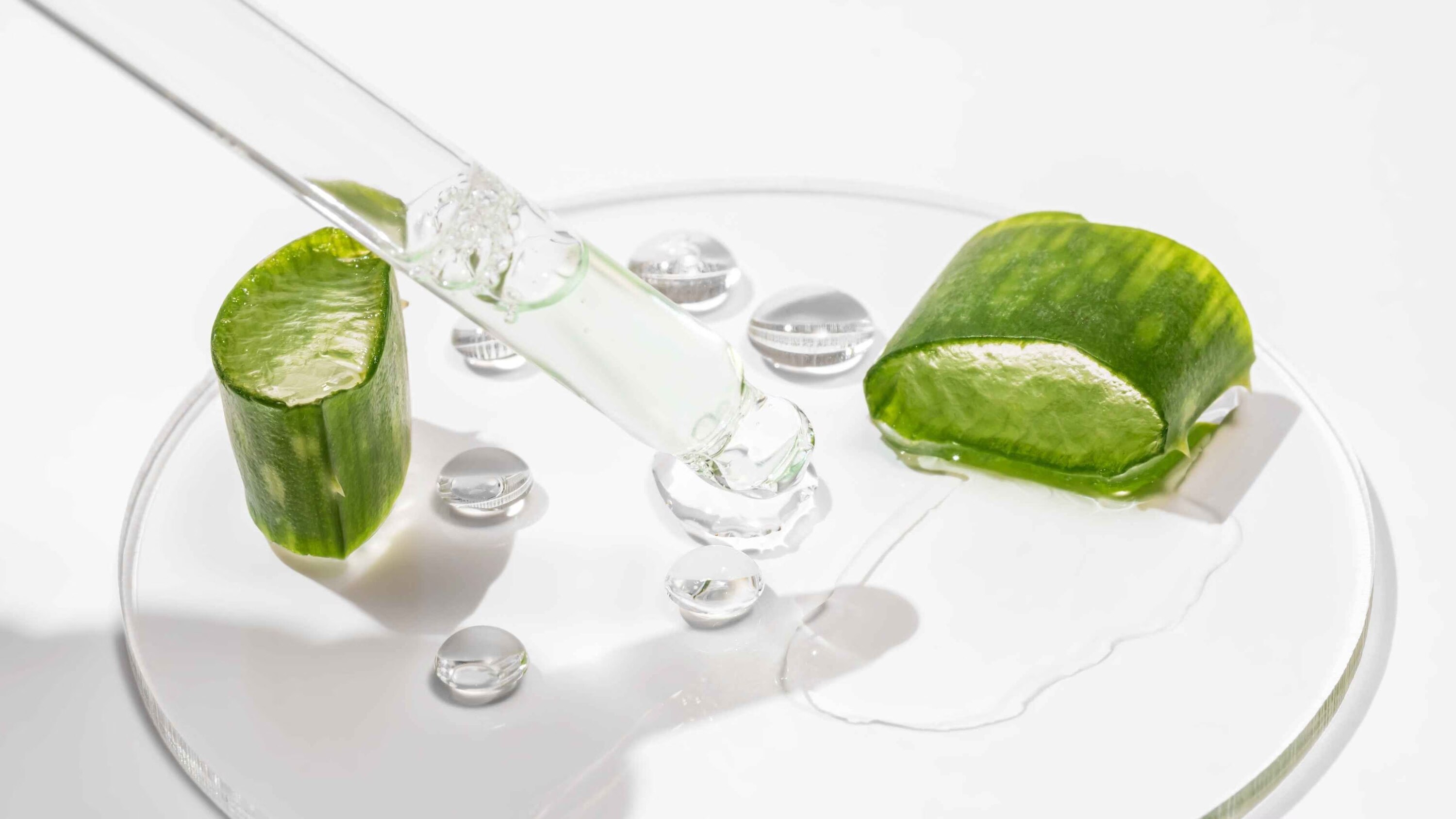 Chamomile &amp; Aloe Serum for Sensitive or Red Skin