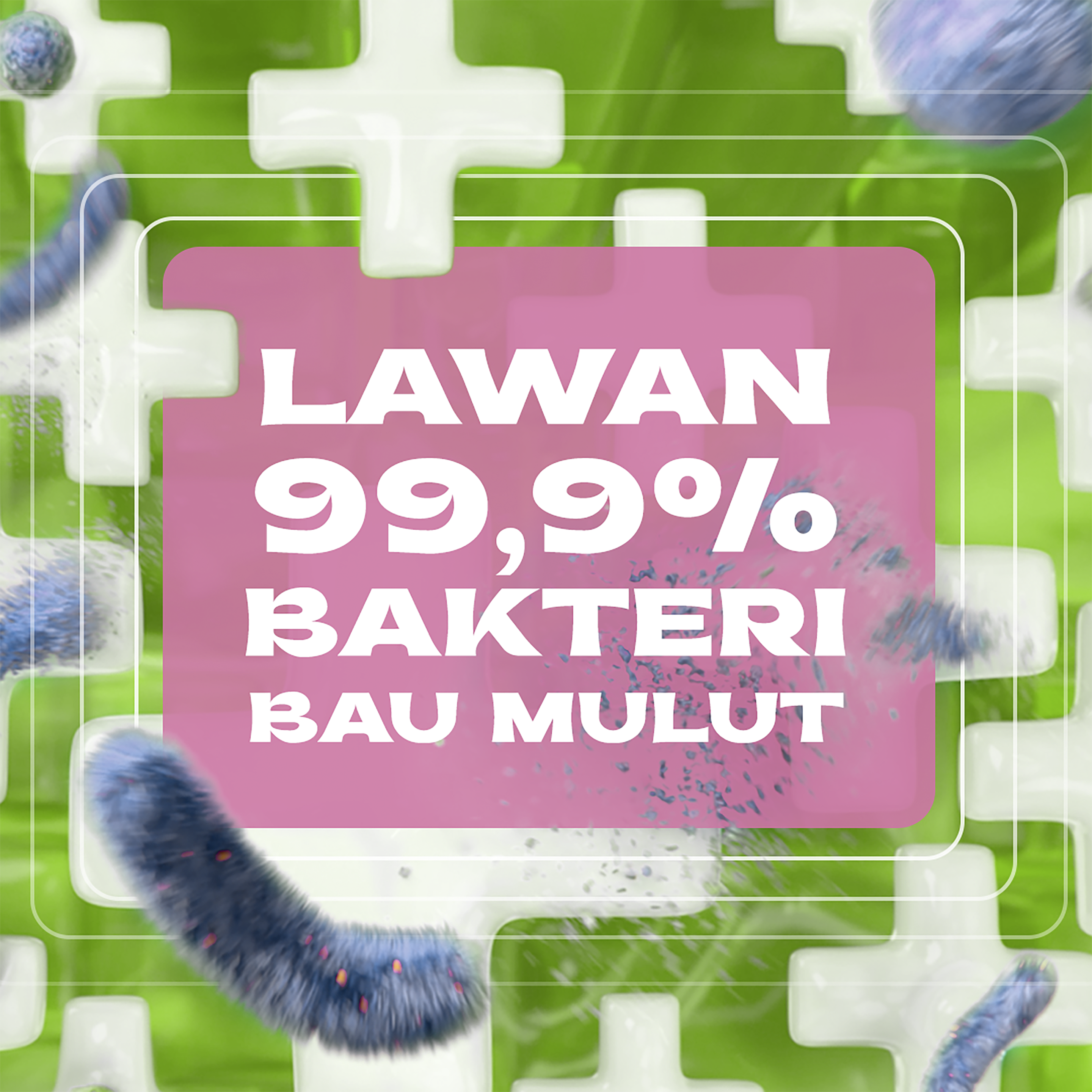 Closeup x Wicked Limited Edition