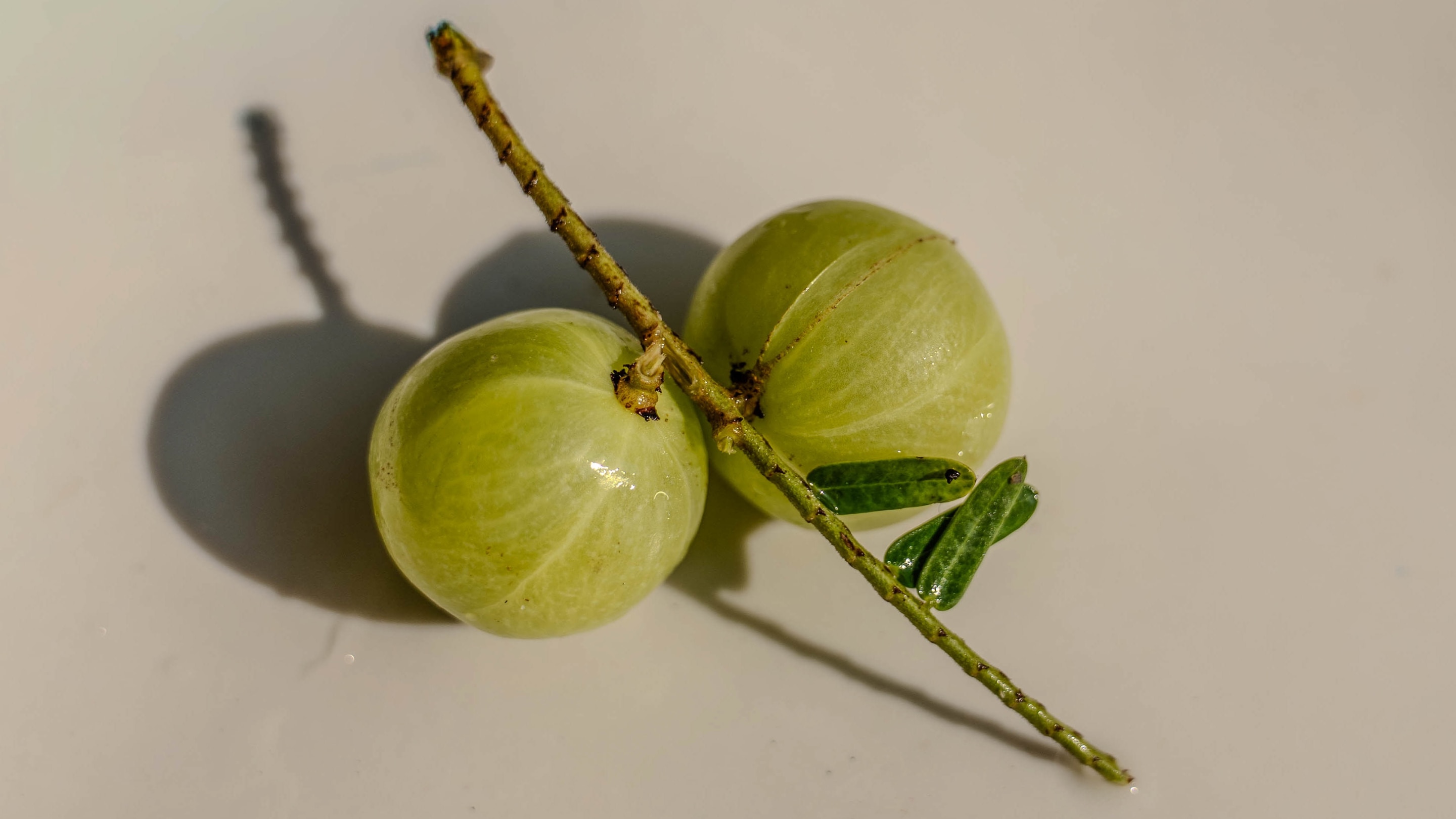 Image of Amla Benefits for Skin: Key Benefits, DIY Recipes & Best Ways to Apply It