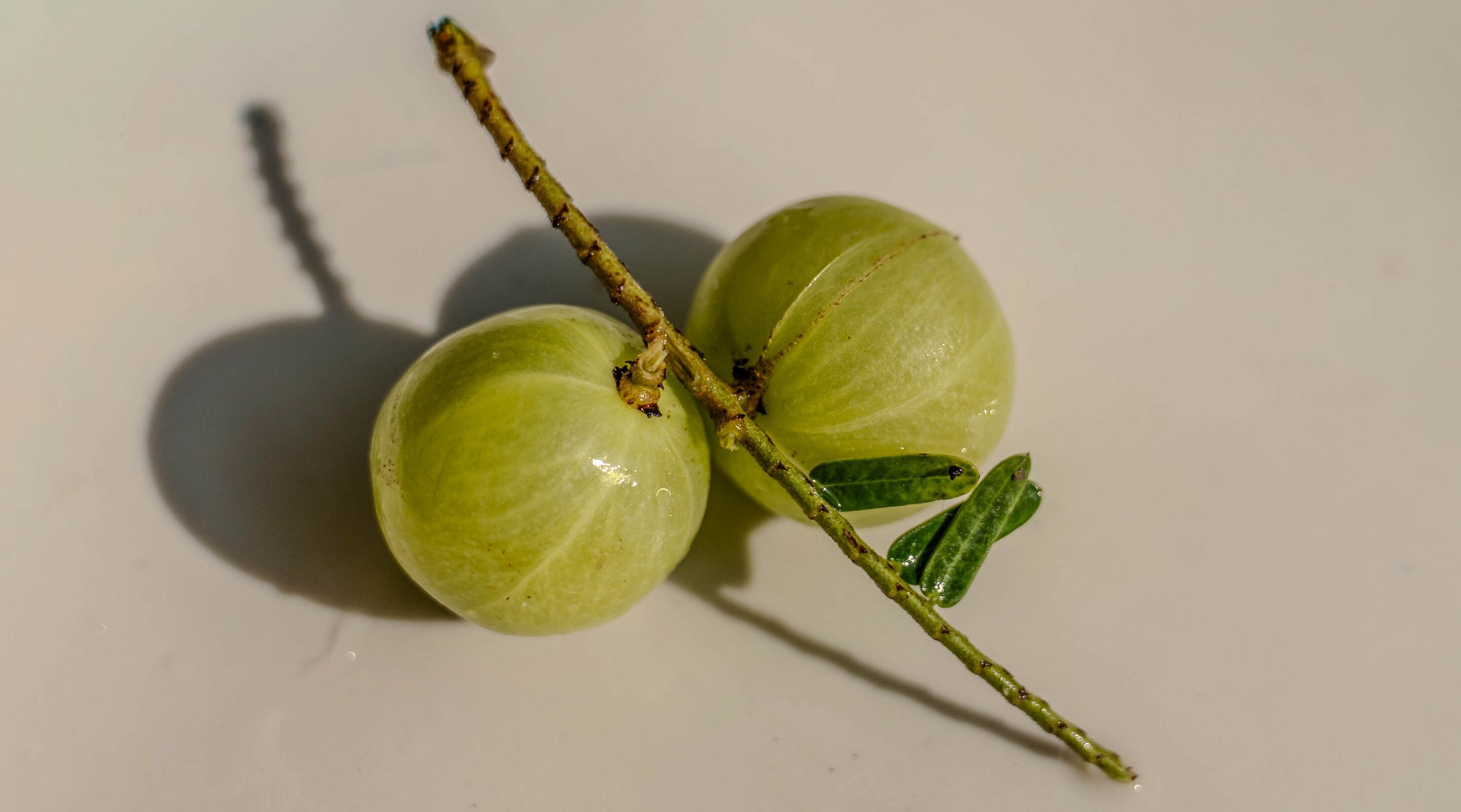 Amla Benefits and DIY Skin Care Recipes