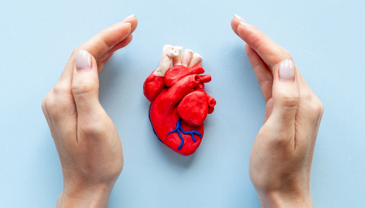 Supports Heart Health-