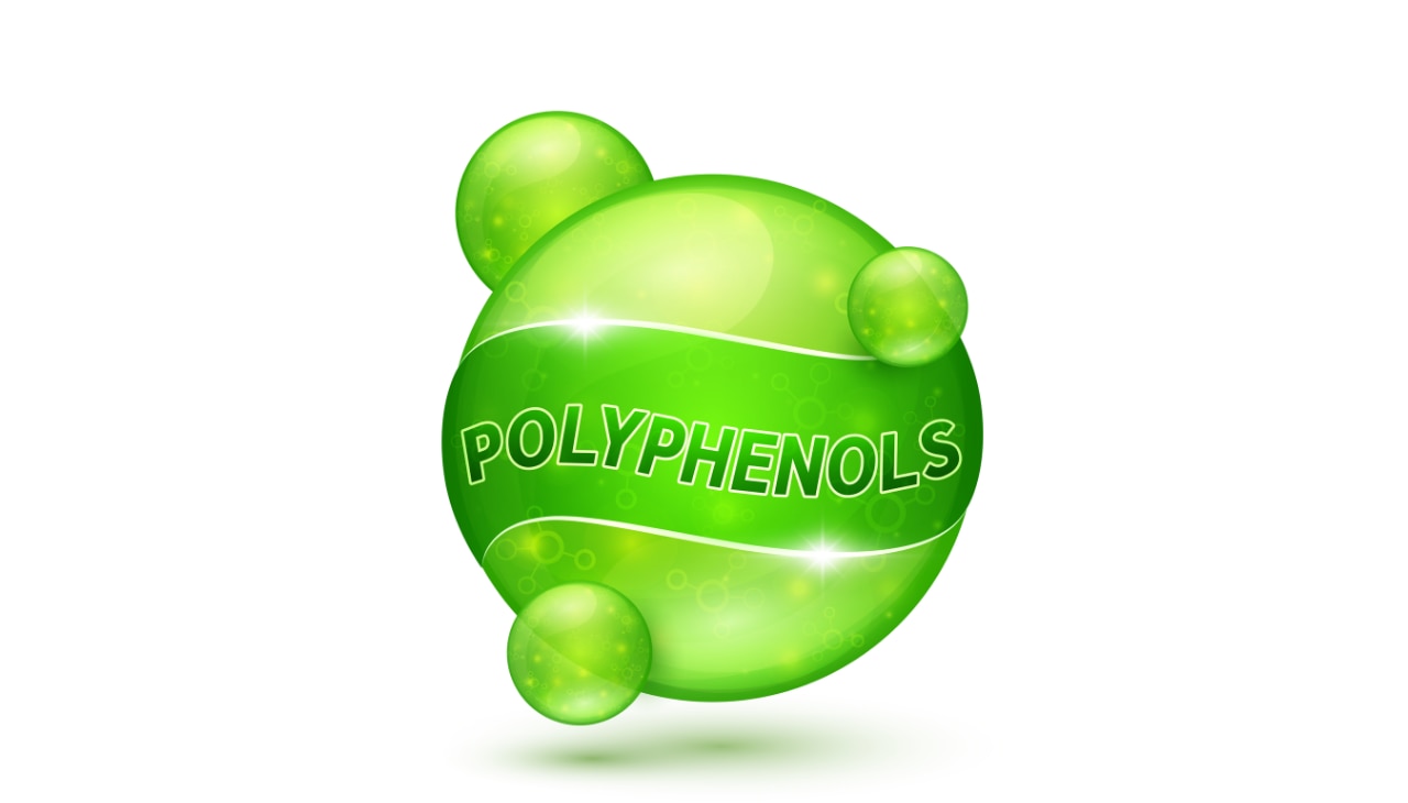 Fights Free Radicals-