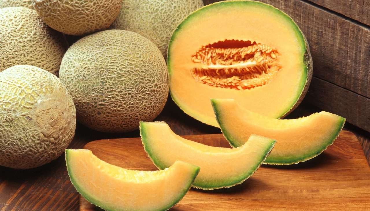 Cantaloupe (90% Water)