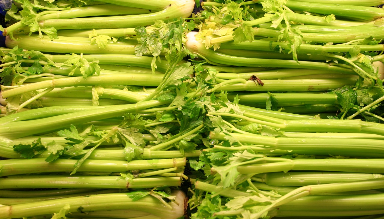 Celery (95% Water)