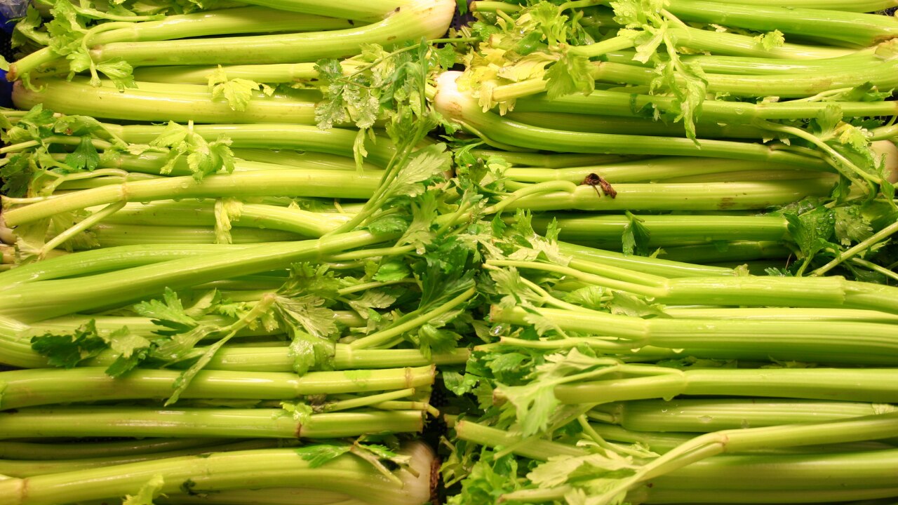 Celery (95% Water)