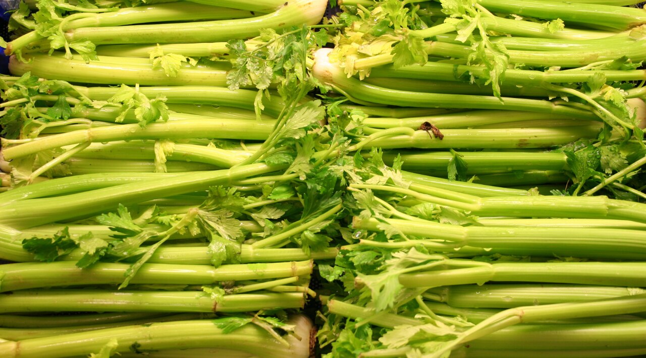 Celery (95% Water)