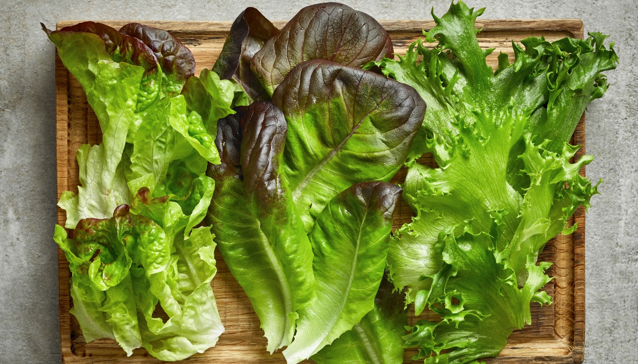Lettuce (95% Water - especially Romaine)