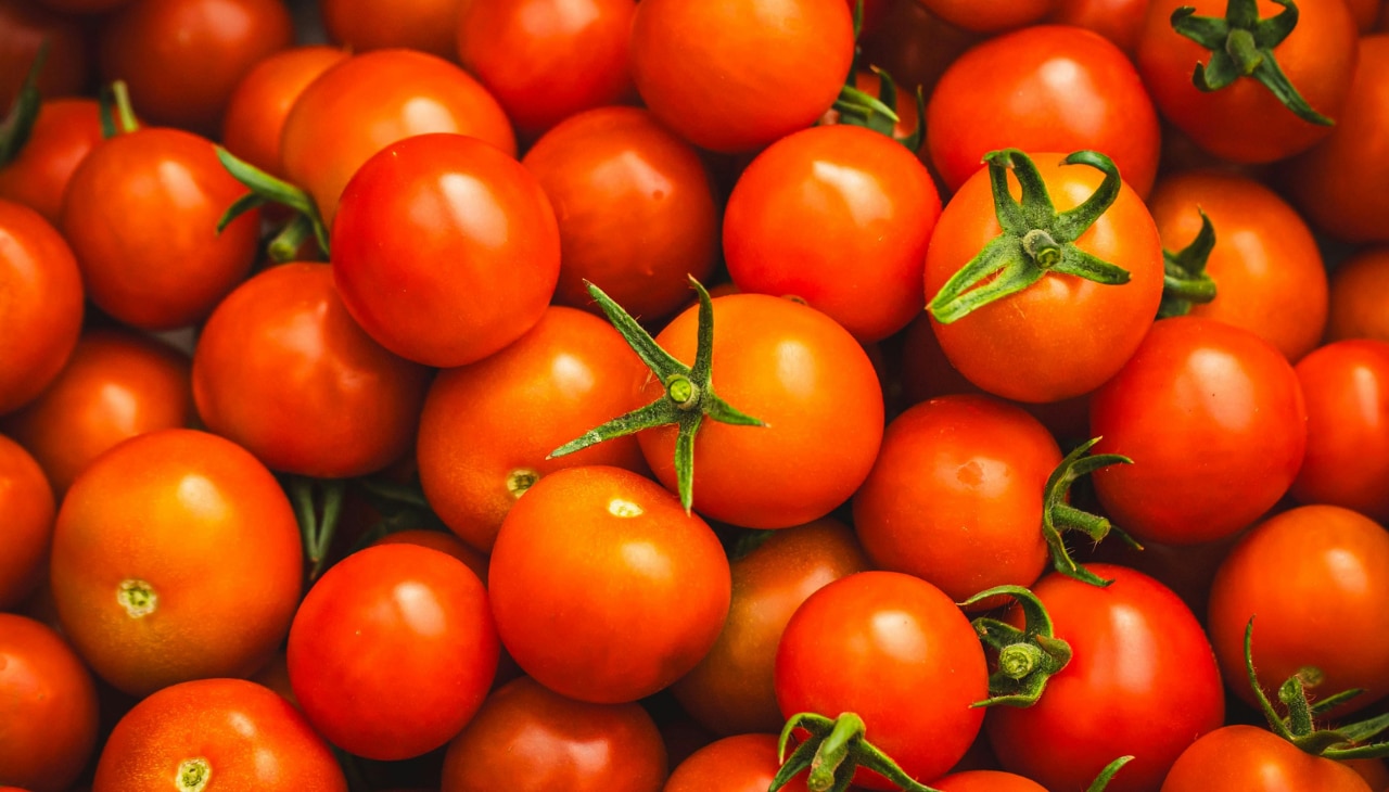Tomatoes (94% Water)